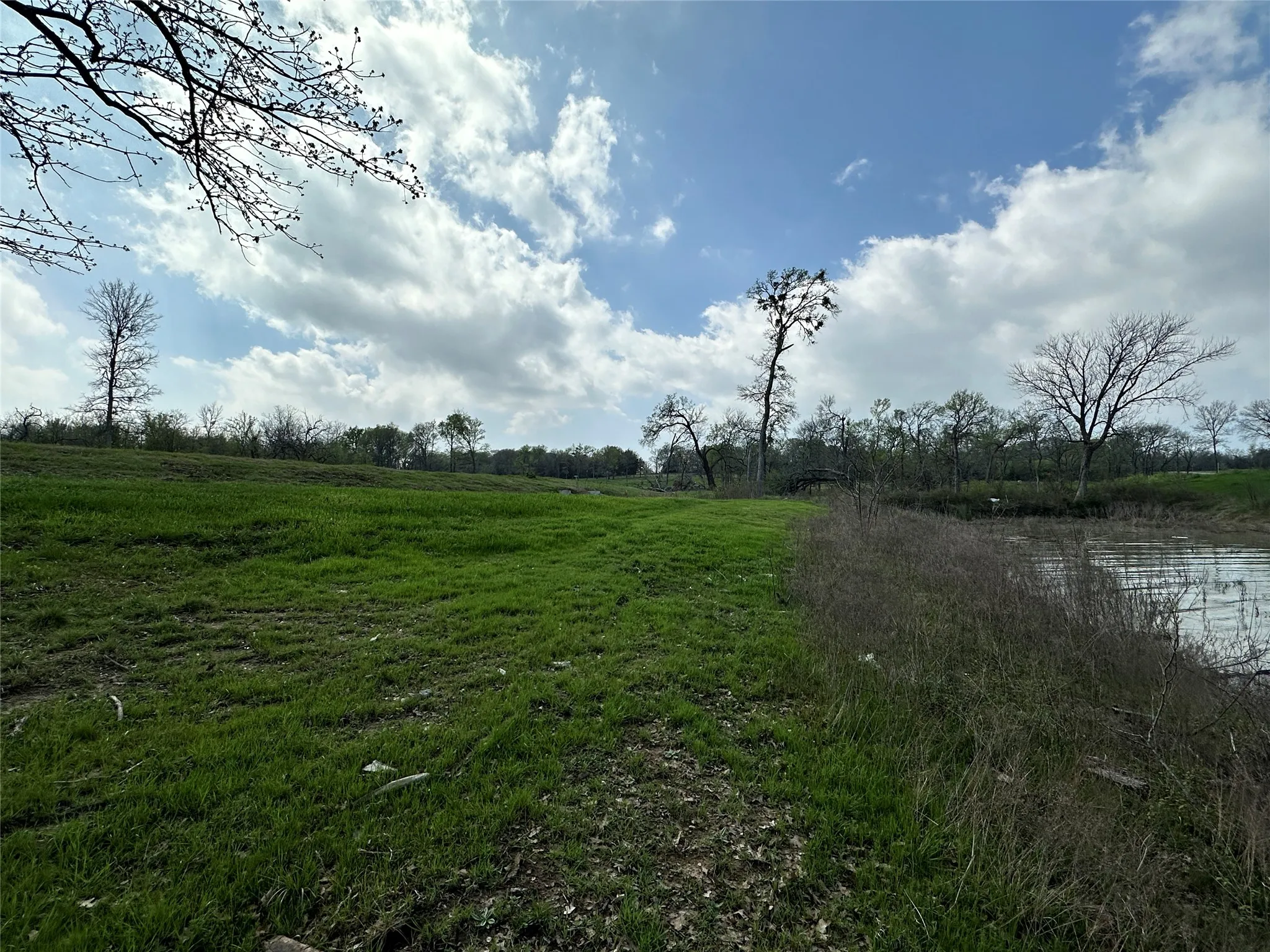 Natural shoreline view offers peaceful lake scenery and a quiet setting for future outdoor living.