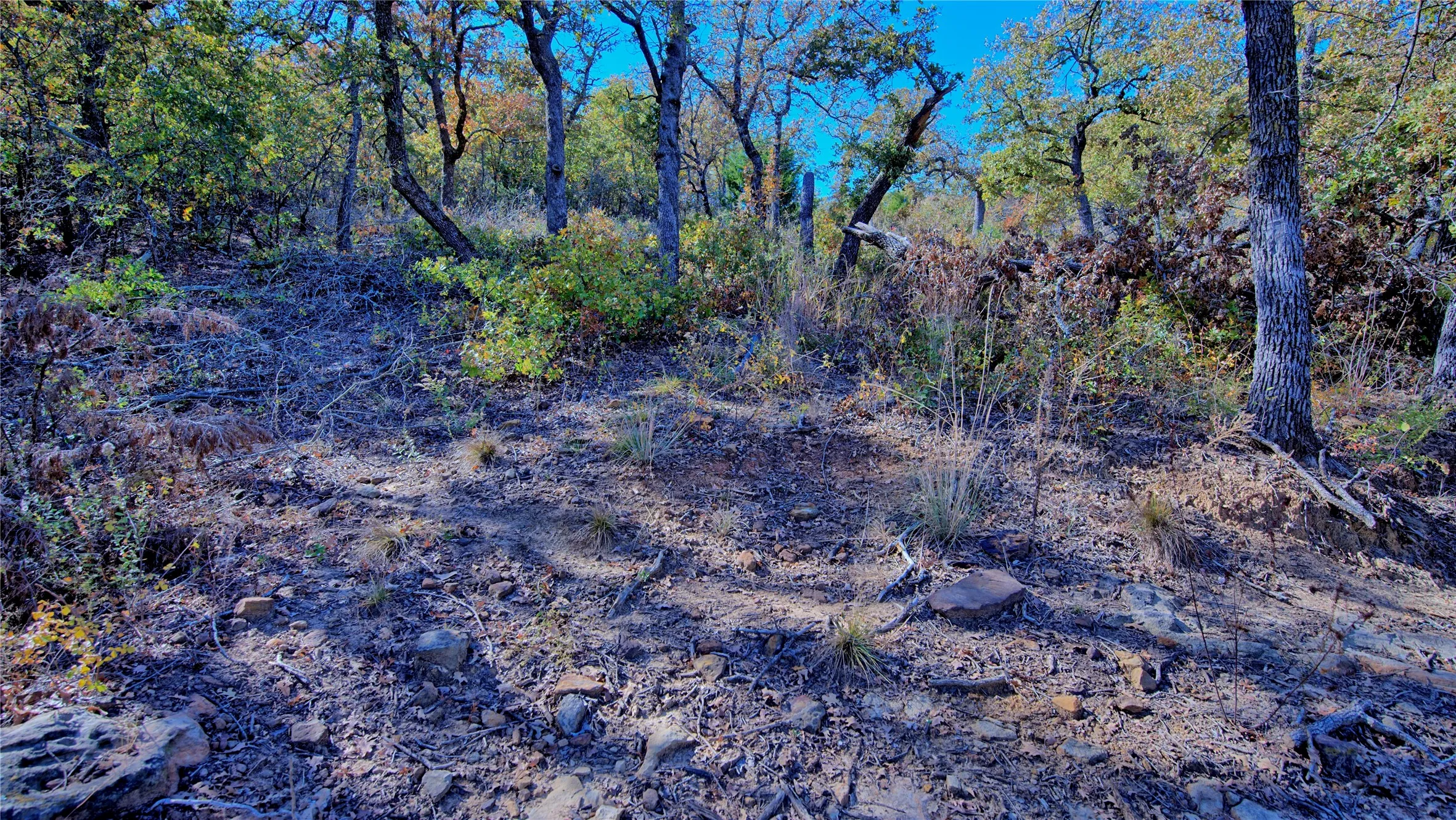 Unimproved Land For Sale in Montague County , Lot 18 Scenic Hill Drive, Bowie, Texas 76230, 0, 0, Garage spaces, 0 Sqft, built in 0, Price $190,000, mls#21288960, Real Estate Agent in Bowie, Homes For Sale in Montague county, Homes For Sale in Bowie, Realtor in Bowie Texas, Real Estate Brokerage Independent Realty Texas, Luminita Cordes Realtor