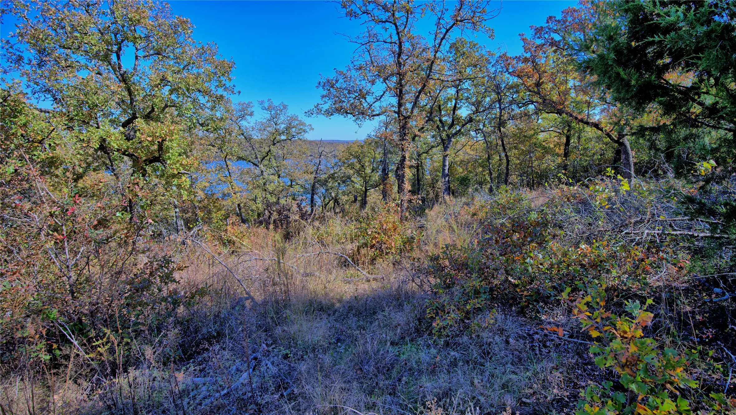 Unimproved Land For Sale in Montague County , Lot 18 Scenic Hill Drive, Bowie, Texas 76230, 0, 0, Garage spaces, 0 Sqft, built in 0, Price $190,000, mls#21288960, Real Estate Agent in Bowie, Homes For Sale in Montague county, Homes For Sale in Bowie, Realtor in Bowie Texas, Real Estate Brokerage Independent Realty Texas, Luminita Cordes Realtor