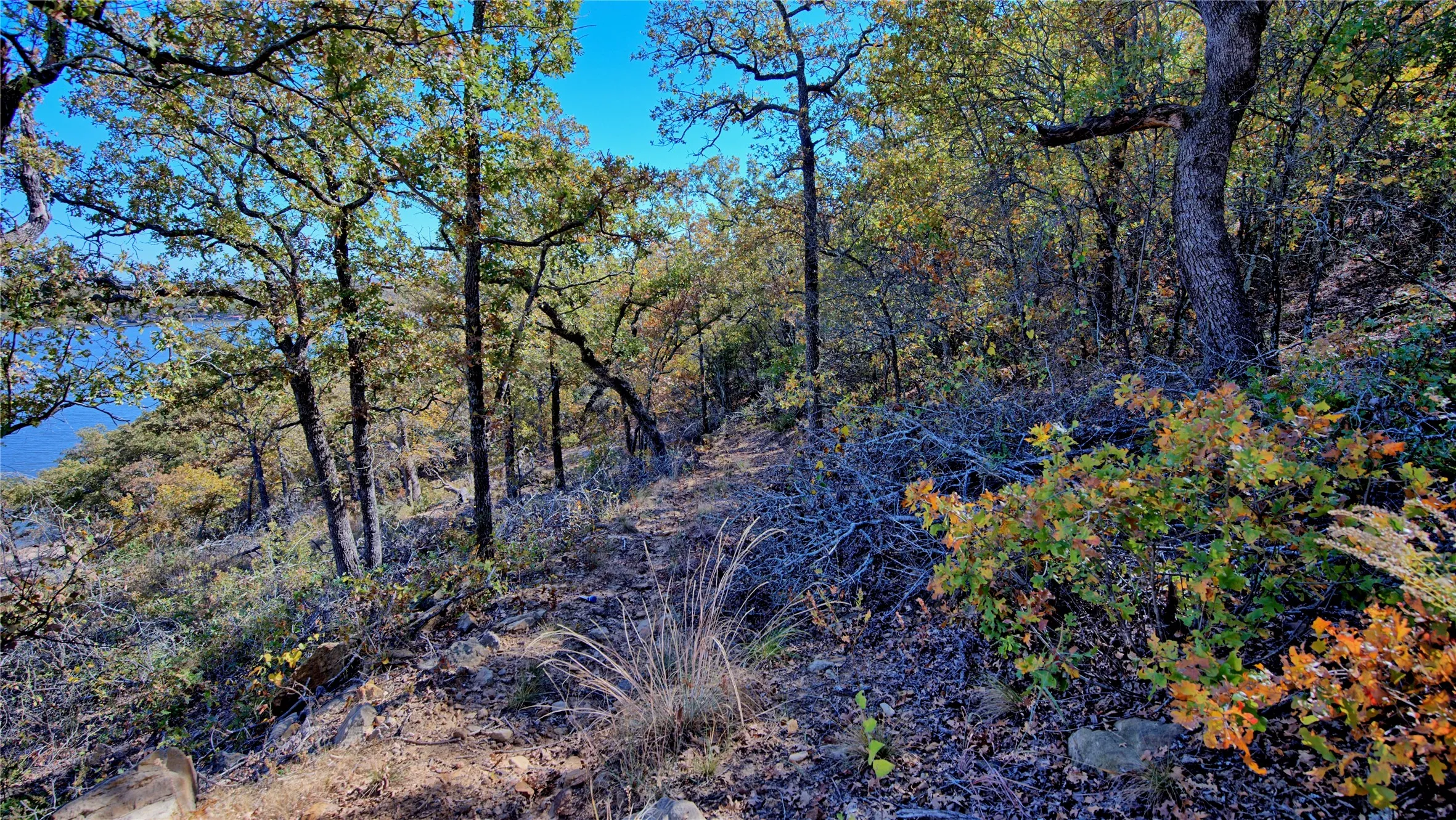 Unimproved Land For Sale in Montague County , Lot 18 Scenic Hill Drive, Bowie, Texas 76230, 0, 0, Garage spaces, 0 Sqft, built in 0, Price $190,000, mls#21288960, Real Estate Agent in Bowie, Homes For Sale in Montague county, Homes For Sale in Bowie, Realtor in Bowie Texas, Real Estate Brokerage Independent Realty Texas, Luminita Cordes Realtor