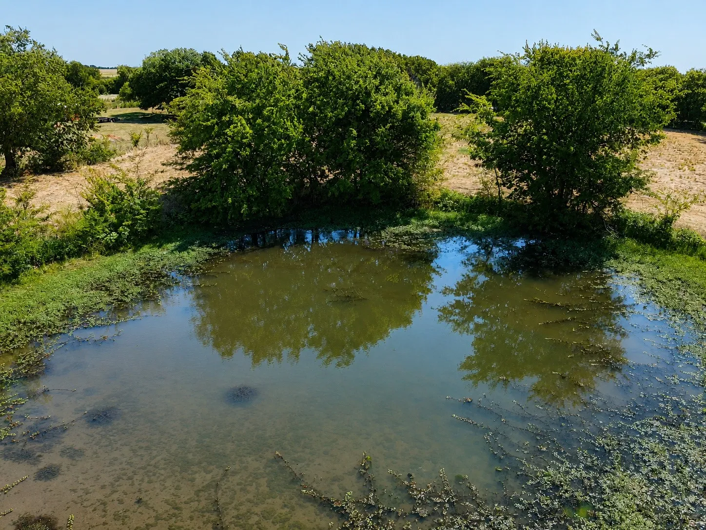 Unimproved Land For Sale in Hunt County , 4008 Rolling Lane, Greenville, Texas 75401, 0, 0, Garage spaces, 0 Sqft, built in 0, mls#21288827, Real Estate Agent in Greenville, Homes For Sale in Hunt county, Homes For Sale in Greenville, Realtor in Greenville Texas, Real Estate Brokerage Independent Realty Texas, Luminita Cordes Realtor
