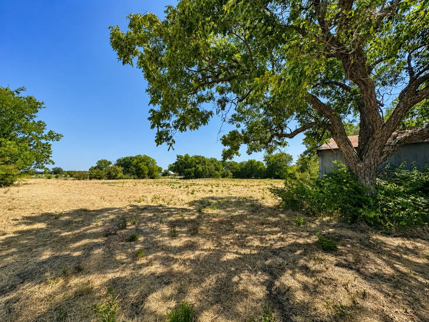 Unimproved Land For Sale in Hunt County , 4008 Rolling Lane, Greenville, Texas 75401, 0, 0, Garage spaces, 0 Sqft, built in 0, mls#21288827, Real Estate Agent in Greenville, Homes For Sale in Hunt county, Homes For Sale in Greenville, Realtor in Greenville Texas, Real Estate Brokerage Independent Realty Texas, Luminita Cordes Realtor