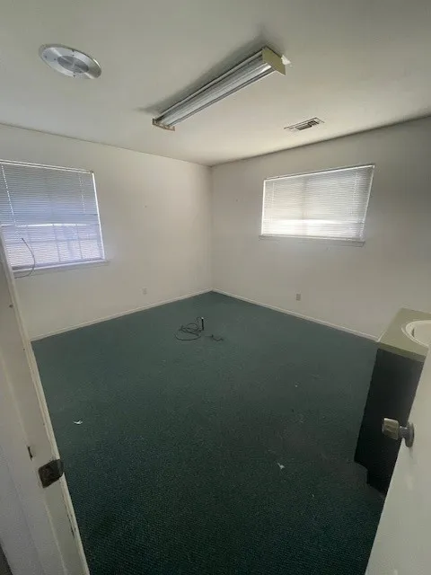 plumbed Room featuring two windows with blinds, green carpet, and white walls