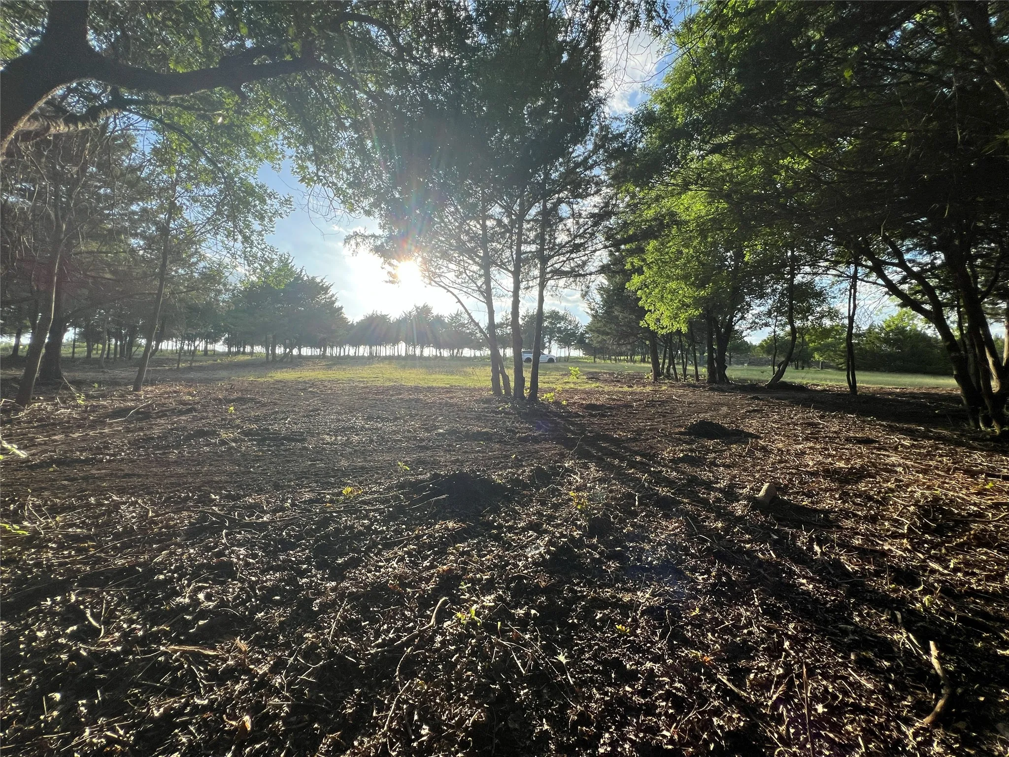 Unimproved Land For Sale in Ellis County , TBD Lot 23 Ridgecrest Drive, Waxahachie, Texas 75165, 0, 0, Garage spaces, 0 Sqft, built in 0, mls#21289049, Real Estate Agent in Waxahachie, Homes For Sale in Ellis county, Homes For Sale in Waxahachie, Realtor in Waxahachie Texas, Real Estate Brokerage Independent Realty Texas, Luminita Cordes Realtor