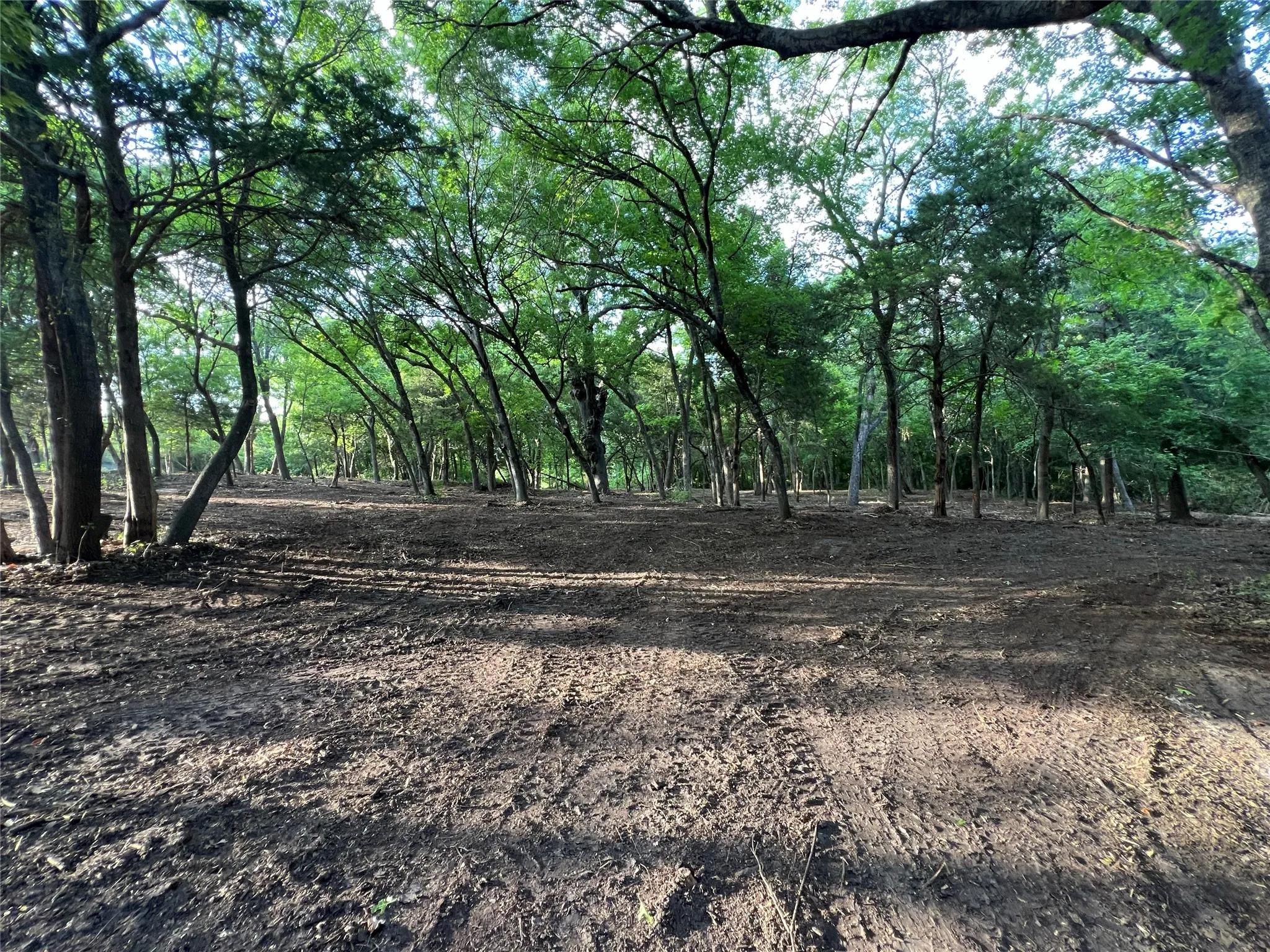 Unimproved Land For Sale in Ellis County , TBD Lot 23 Ridgecrest Drive, Waxahachie, Texas 75165, 0, 0, Garage spaces, 0 Sqft, built in 0, mls#21289049, Real Estate Agent in Waxahachie, Homes For Sale in Ellis county, Homes For Sale in Waxahachie, Realtor in Waxahachie Texas, Real Estate Brokerage Independent Realty Texas, Luminita Cordes Realtor