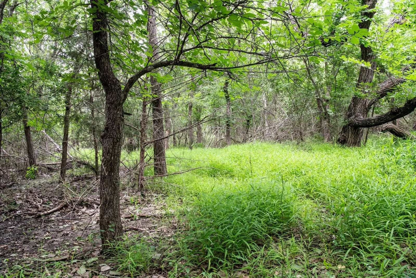Unimproved Land For Sale in Parker County , TBD Latigo Way, Weatherford, Texas 76088, 0, 0, Garage spaces, 0 Sqft, built in 0, mls#21288556, Real Estate Agent in Weatherford, Homes For Sale in Parker county, Homes For Sale in Weatherford, Realtor in Weatherford Texas, Real Estate Brokerage Independent Realty Texas, Luminita Cordes Realtor