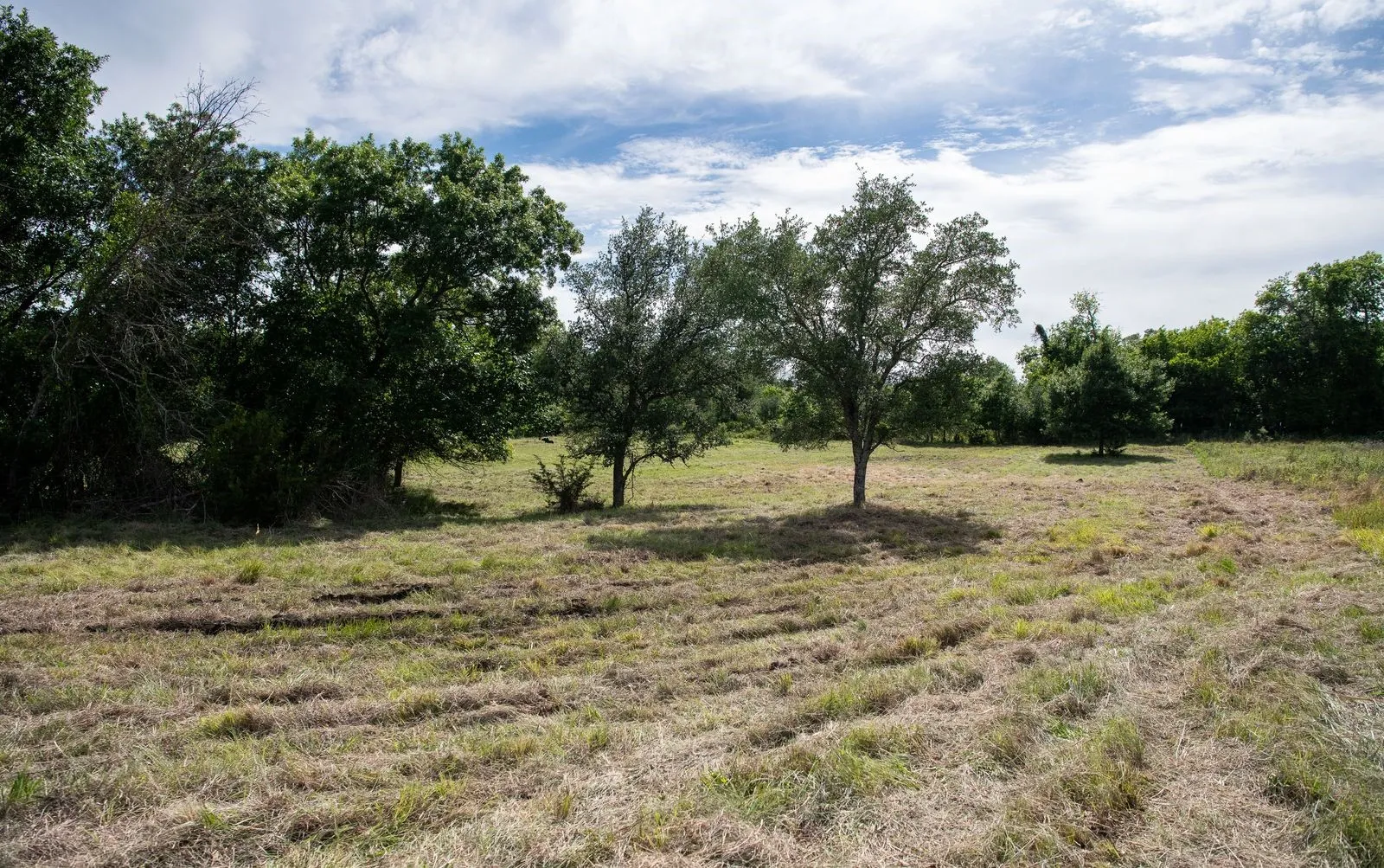 Unimproved Land For Sale in Parker County , TBD Latigo Way, Weatherford, Texas 76088, 0, 0, Garage spaces, 0 Sqft, built in 0, mls#21288556, Real Estate Agent in Weatherford, Homes For Sale in Parker county, Homes For Sale in Weatherford, Realtor in Weatherford Texas, Real Estate Brokerage Independent Realty Texas, Luminita Cordes Realtor