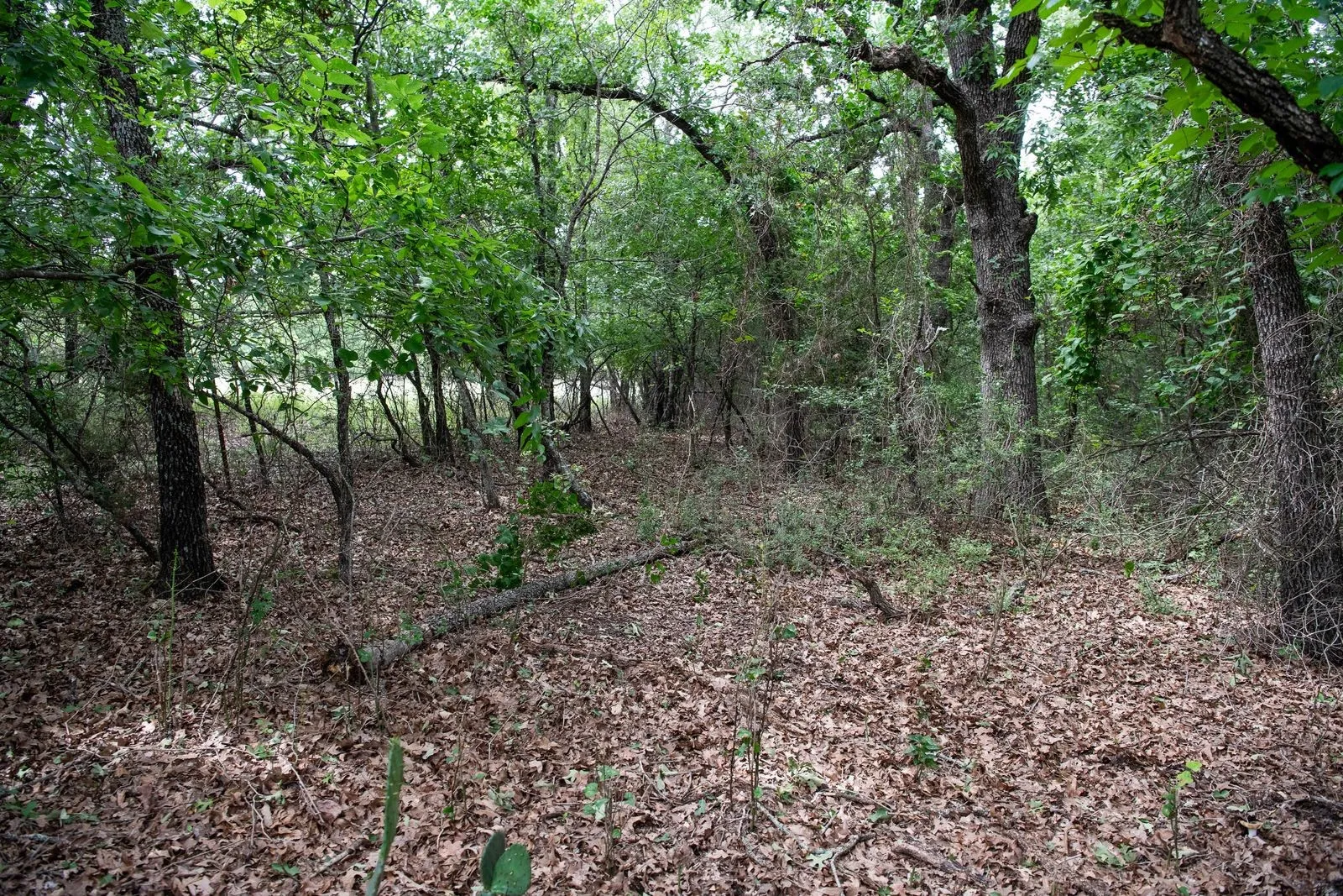 Unimproved Land For Sale in Parker County , TBD Latigo Way, Weatherford, Texas 76088, 0, 0, Garage spaces, 0 Sqft, built in 0, mls#21288556, Real Estate Agent in Weatherford, Homes For Sale in Parker county, Homes For Sale in Weatherford, Realtor in Weatherford Texas, Real Estate Brokerage Independent Realty Texas, Luminita Cordes Realtor