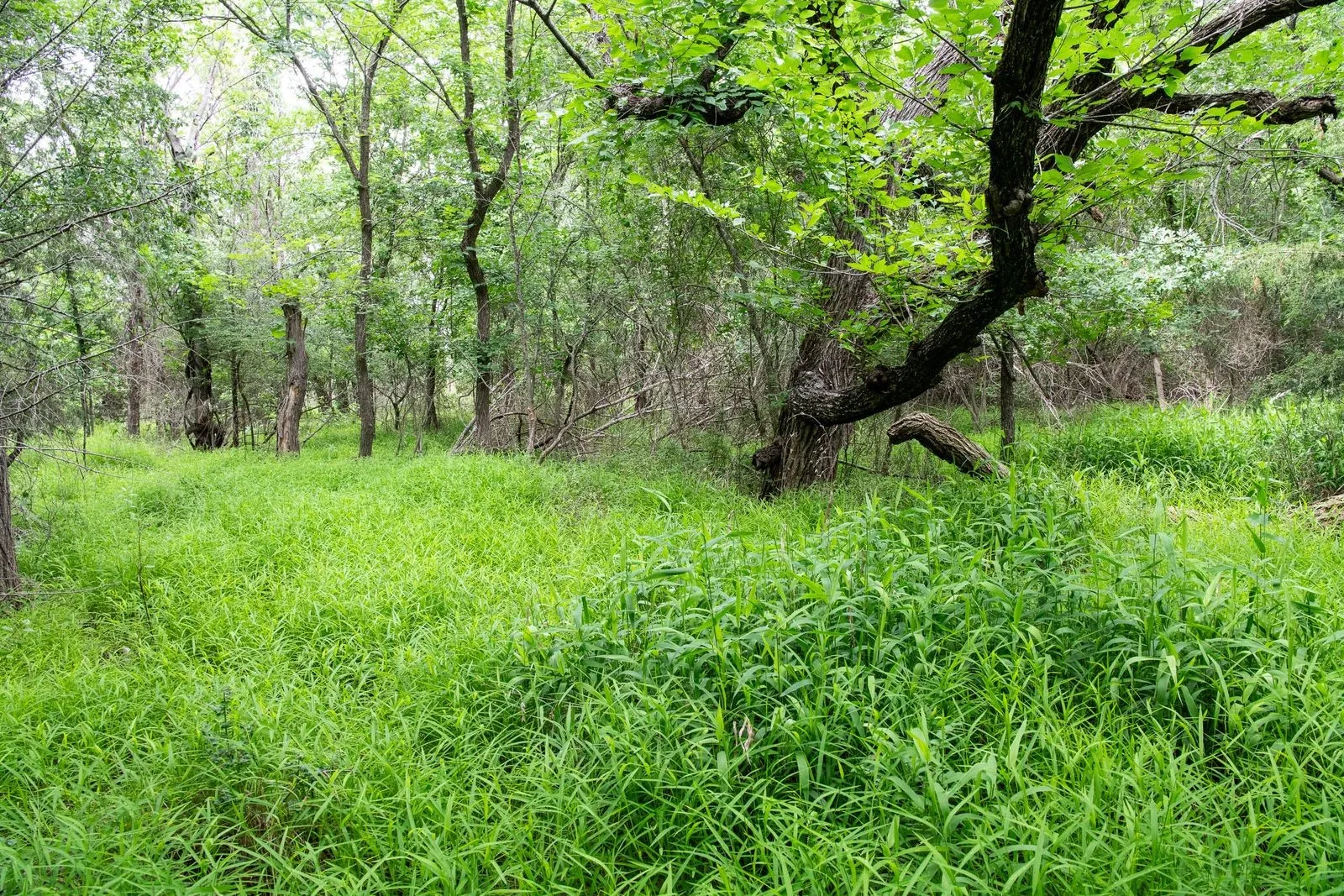 Unimproved Land For Sale in Parker County , TBD Latigo Way, Weatherford, Texas 76088, 0, 0, Garage spaces, 0 Sqft, built in 0, mls#21288556, Real Estate Agent in Weatherford, Homes For Sale in Parker county, Homes For Sale in Weatherford, Realtor in Weatherford Texas, Real Estate Brokerage Independent Realty Texas, Luminita Cordes Realtor