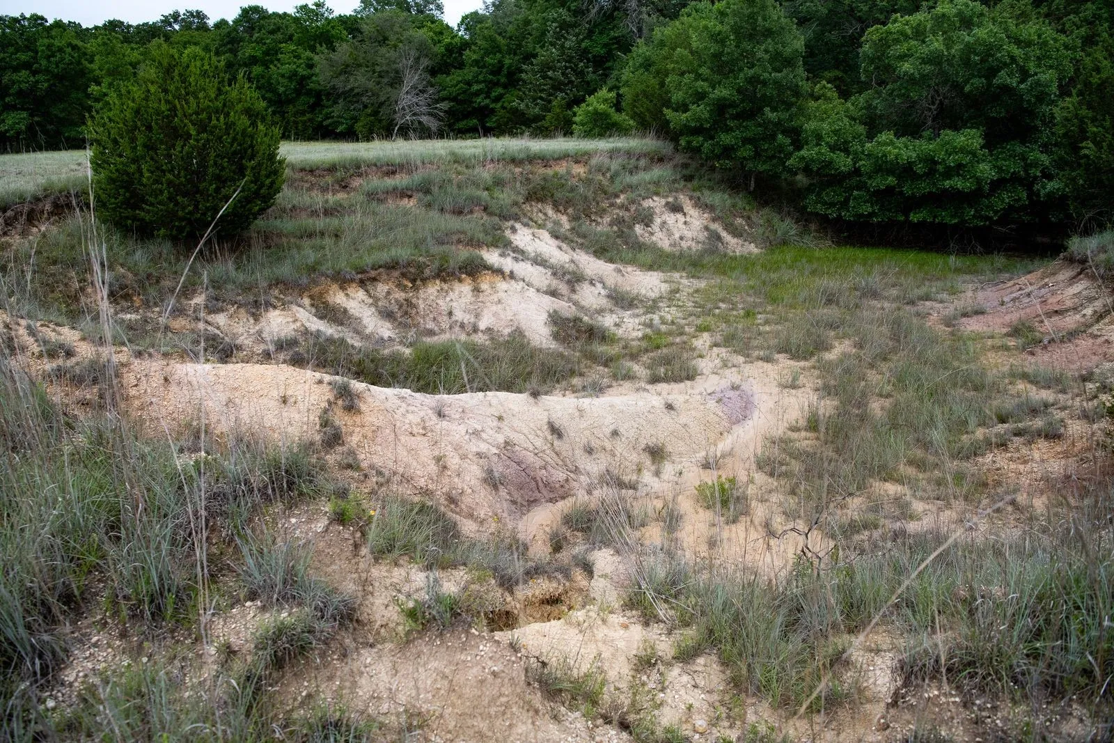 Unimproved Land For Sale in Parker County , TBD Latigo Way, Weatherford, Texas 76088, 0, 0, Garage spaces, 0 Sqft, built in 0, mls#21288556, Real Estate Agent in Weatherford, Homes For Sale in Parker county, Homes For Sale in Weatherford, Realtor in Weatherford Texas, Real Estate Brokerage Independent Realty Texas, Luminita Cordes Realtor
