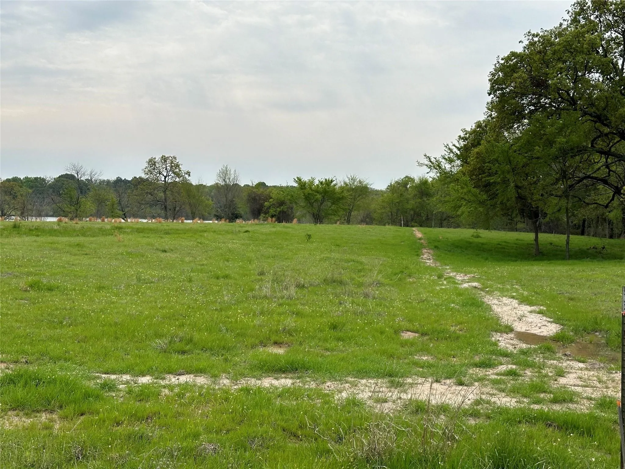Unimproved Land For Sale in Rains County , TBD Lot 7 Anglers Point Drive, Emory, Texas 75440, 0, 0, Garage spaces, 0 Sqft, built in 0, mls#21289120, Real Estate Agent in Emory, Homes For Sale in Rains county, Homes For Sale in Emory, Realtor in Emory Texas, Real Estate Brokerage Independent Realty Texas, Luminita Cordes Realtor
