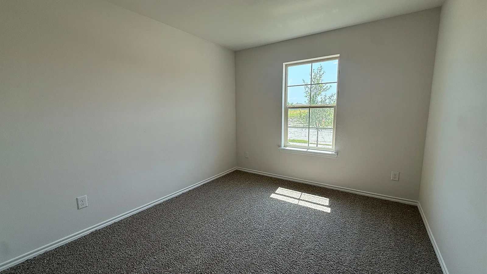 Neutral-toned walls and dark grey carpeting define this room, featuring a single window with white trim