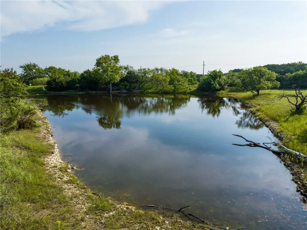 Expansive water feature surrounded by lush green foliage and mature trees, reflecting the clear sky