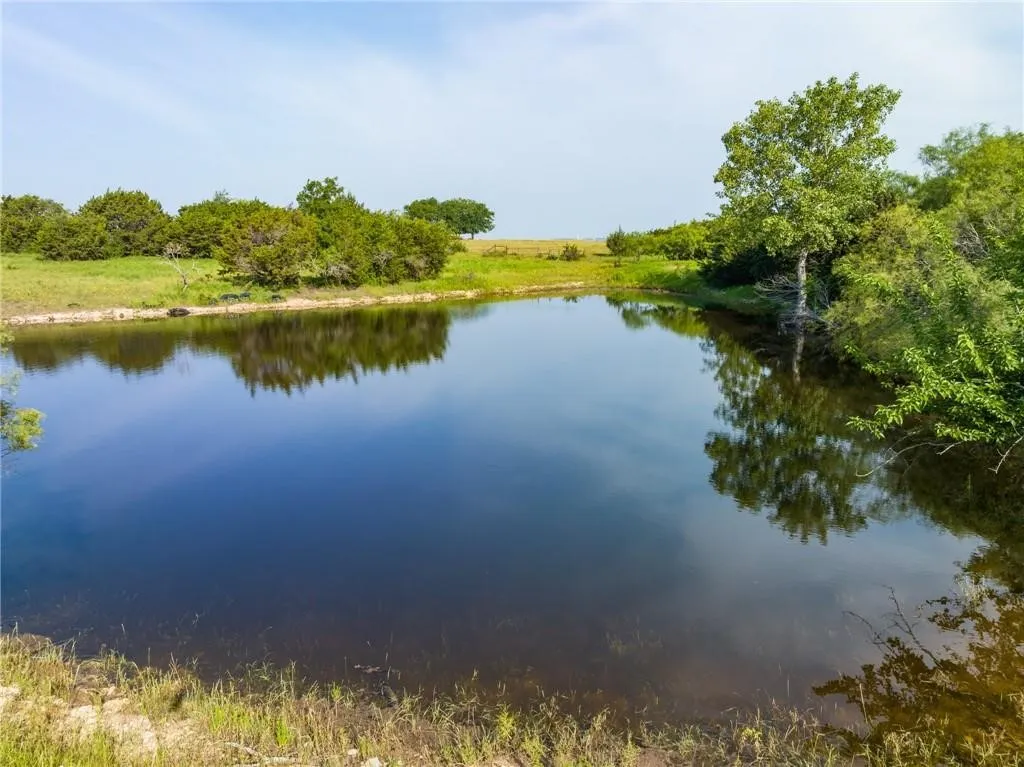 Natural water feature surrounded by mature trees and native grasses