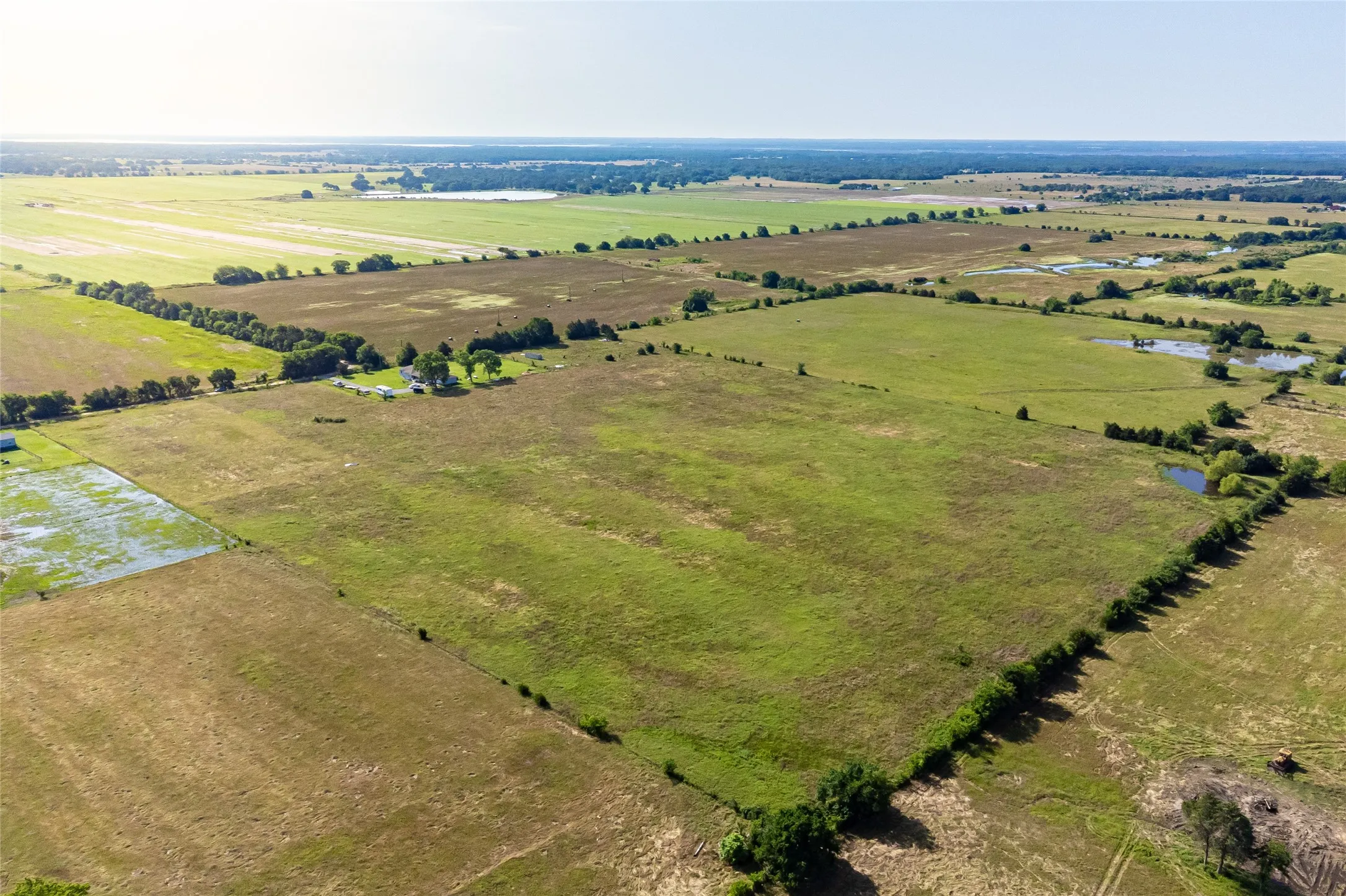 Unimproved Land For Sale in Fannin County , 1401 County Road 2230, Ivanhoe, Texas 75447, 0, 0, Garage spaces, 0 Sqft, built in 0, mls#21289159, Real Estate Agent in Ivanhoe, Homes For Sale in Fannin county, Homes For Sale in Ivanhoe, Realtor in Ivanhoe Texas, Real Estate Brokerage Independent Realty Texas, Luminita Cordes Realtor