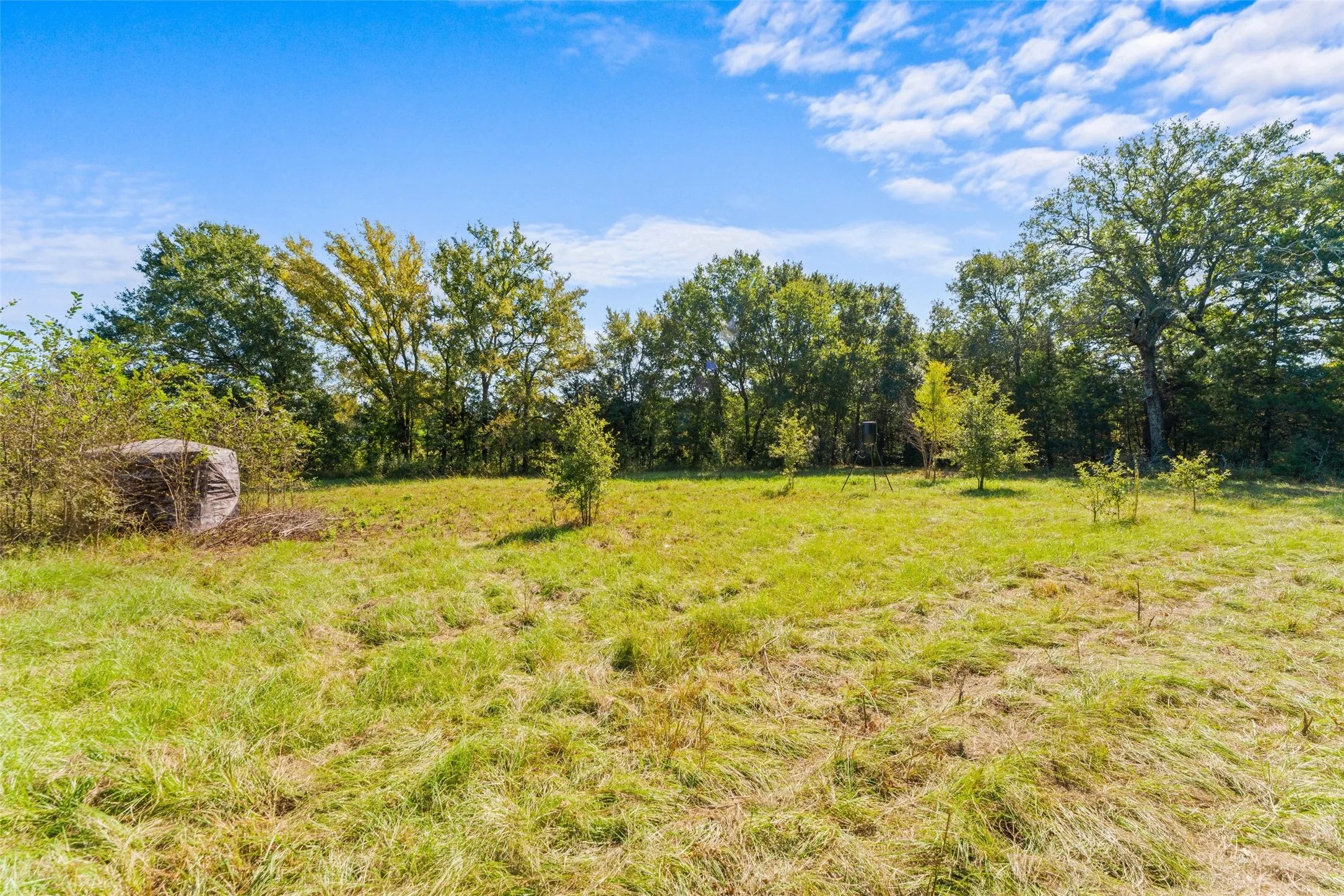 Unimproved Land For Sale in Kaufman County , 11691 Betty Lane, Kaufman, Texas 75142, 0, 0, Garage spaces, 0 Sqft, built in 0, mls#21289216, Real Estate Agent in Kaufman, Homes For Sale in Kaufman county, Homes For Sale in Kaufman, Realtor in Kaufman Texas, Real Estate Brokerage Independent Realty Texas, Luminita Cordes Realtor