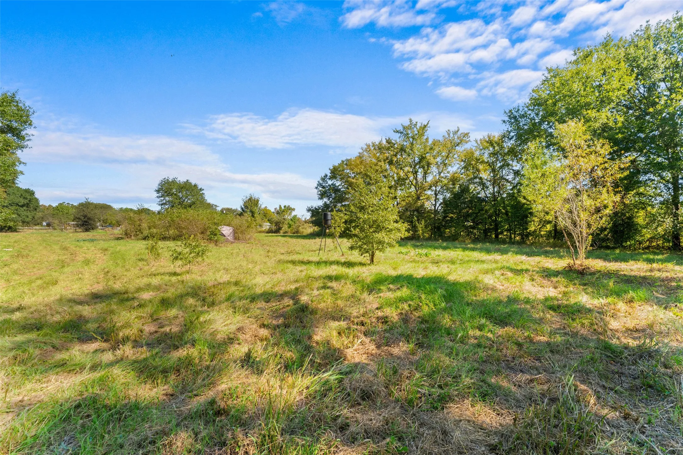 Unimproved Land For Sale in Kaufman County , 11691 Betty Lane, Kaufman, Texas 75142, 0, 0, Garage spaces, 0 Sqft, built in 0, mls#21289216, Real Estate Agent in Kaufman, Homes For Sale in Kaufman county, Homes For Sale in Kaufman, Realtor in Kaufman Texas, Real Estate Brokerage Independent Realty Texas, Luminita Cordes Realtor