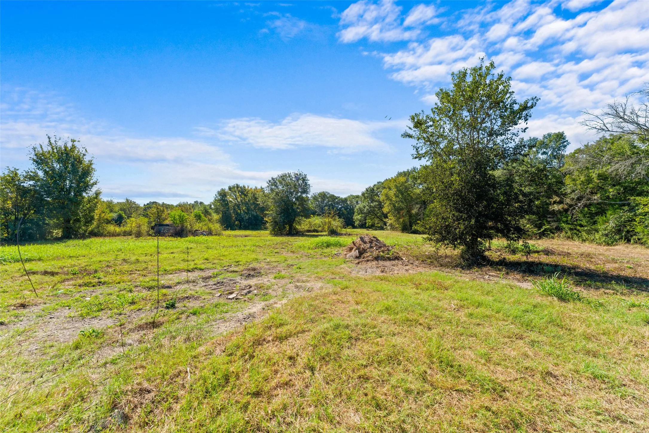Expansive undeveloped land featuring mature trees and a clear blue sky