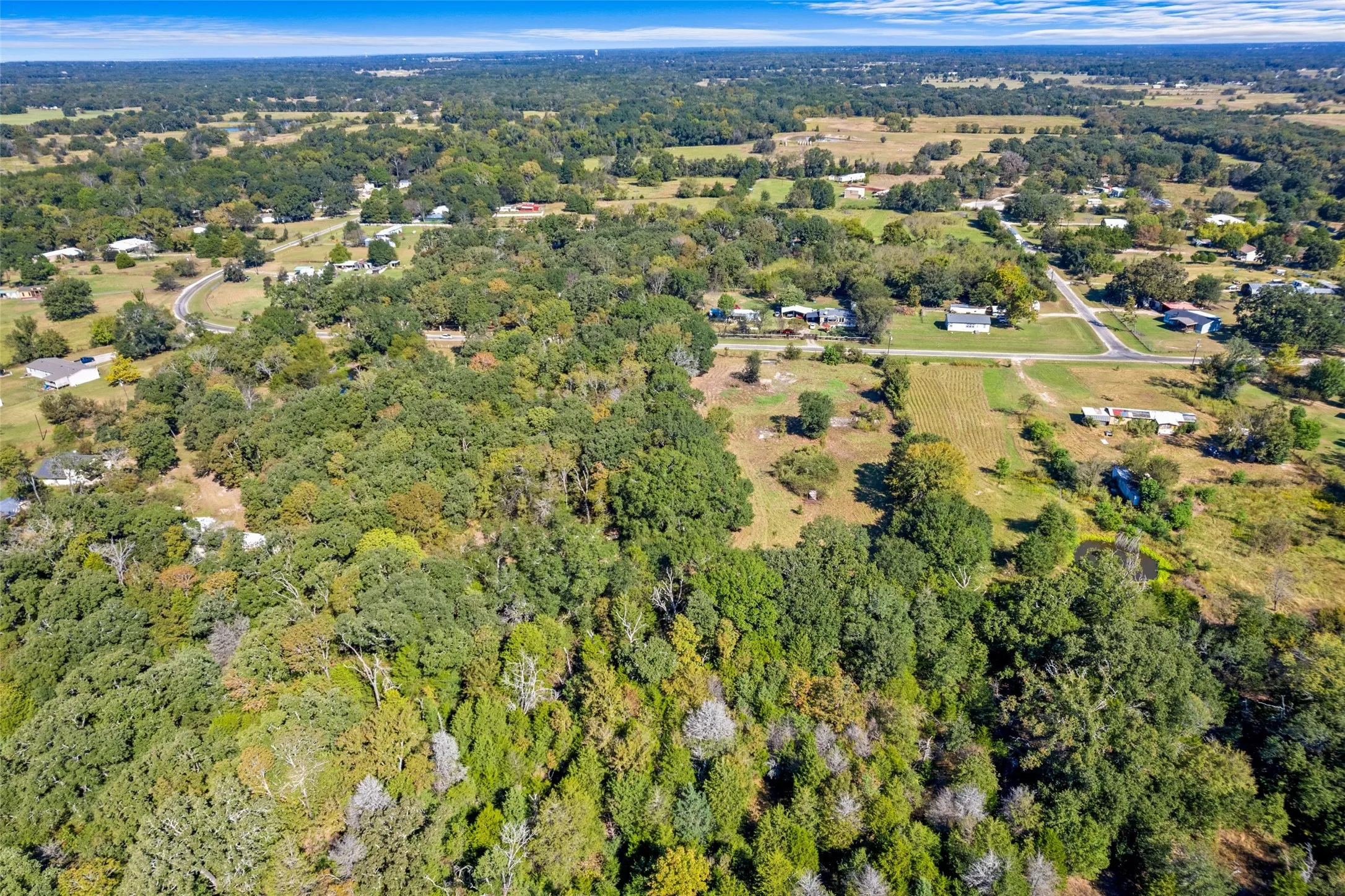 Expansive undeveloped land featuring mature trees and a varied topography