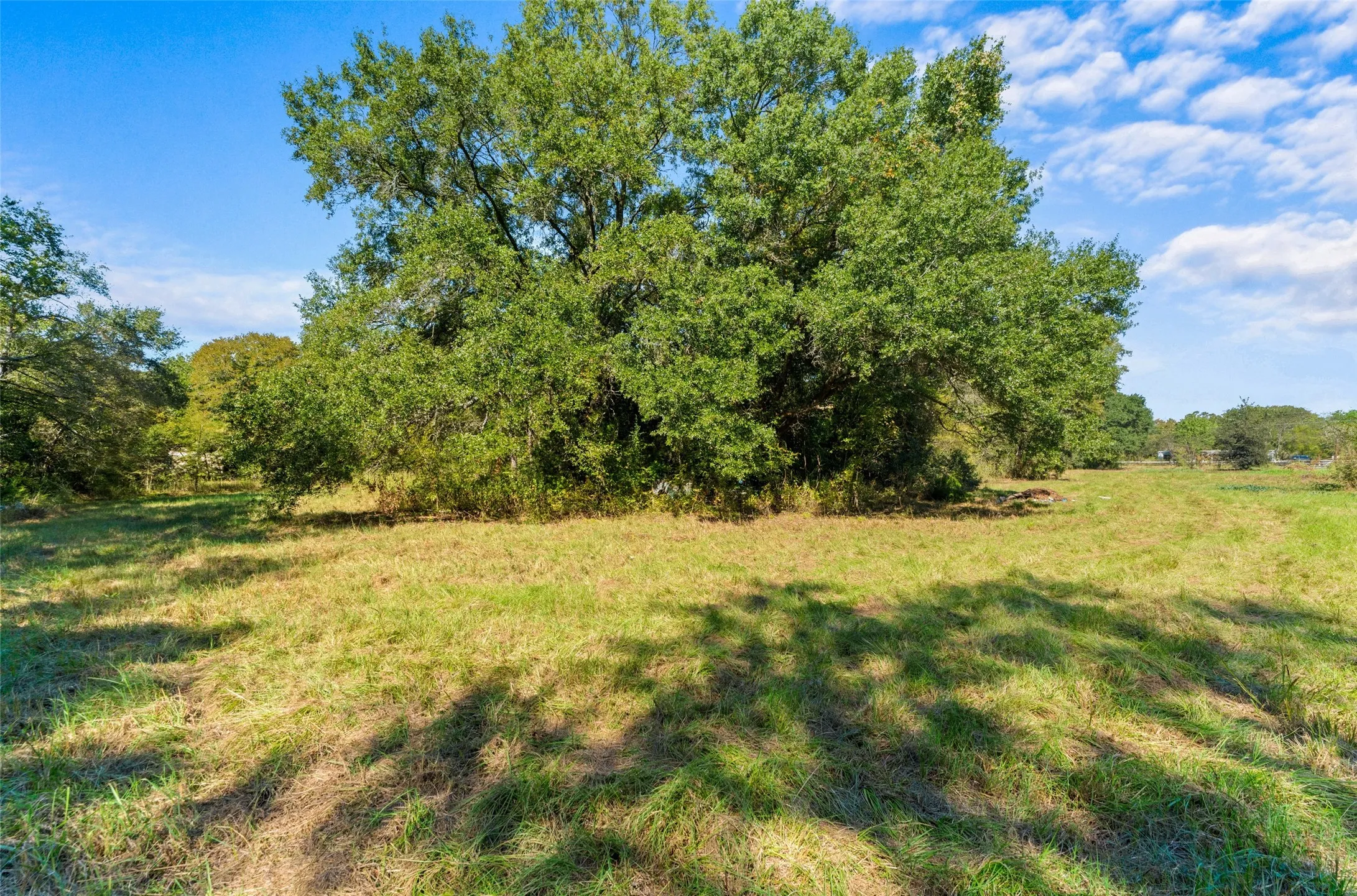 Unimproved Land For Sale in Kaufman County , 11691 Betty Lane, Kaufman, Texas 75142, 0, 0, Garage spaces, 0 Sqft, built in 0, mls#21289216, Real Estate Agent in Kaufman, Homes For Sale in Kaufman county, Homes For Sale in Kaufman, Realtor in Kaufman Texas, Real Estate Brokerage Independent Realty Texas, Luminita Cordes Realtor