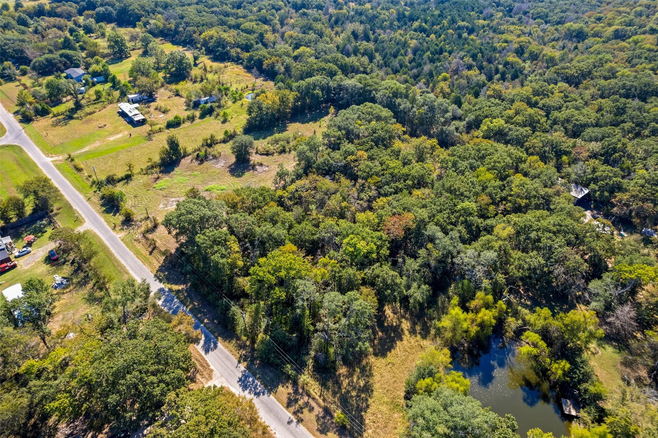 Expansive wooded acreage featuring a pond, established roadways, and scattered clearings