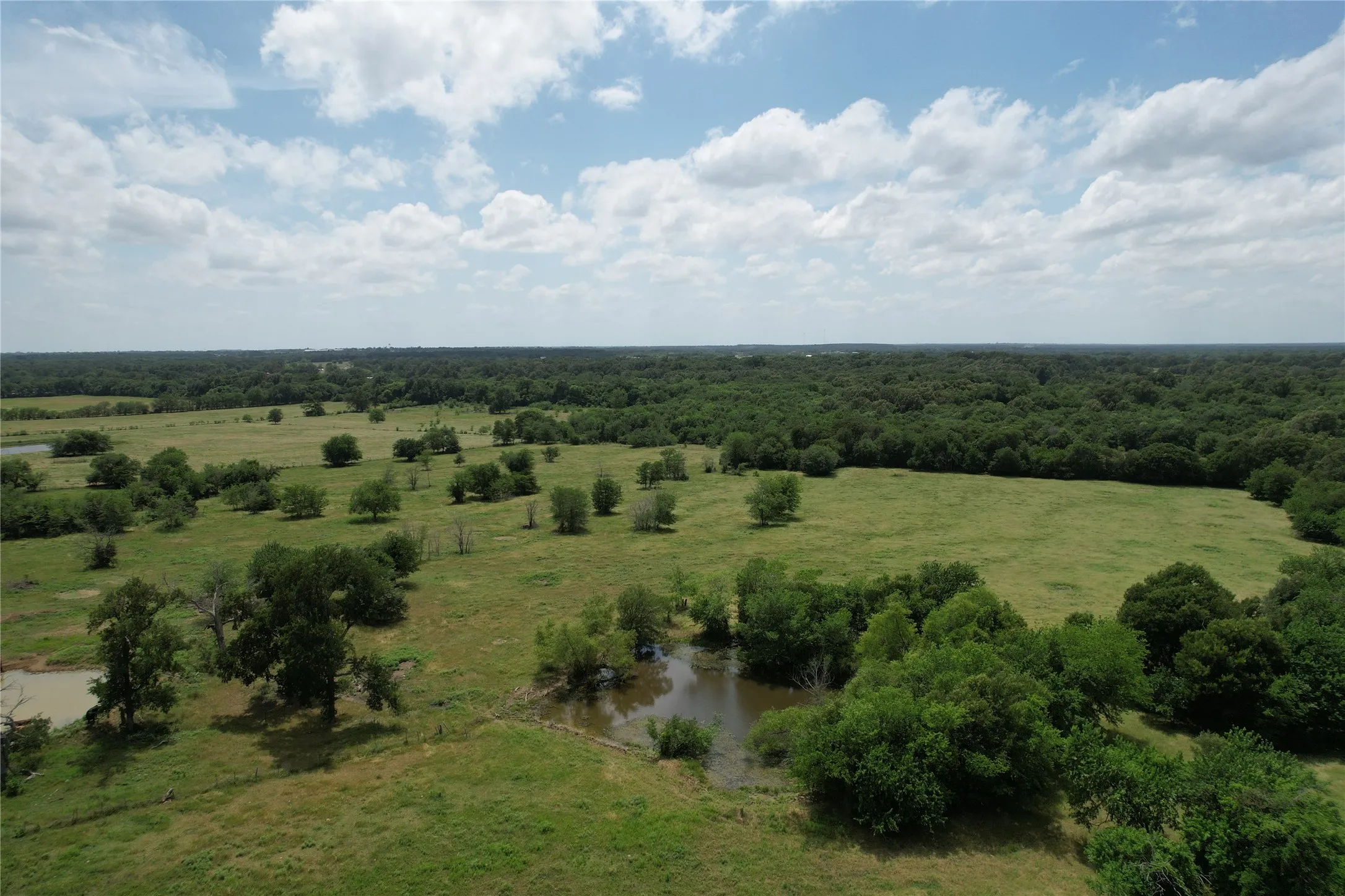 Unimproved Land For Sale in Hopkins County , 607 County Road 3341 N, Sulphur Springs, Texas 75482, 0, 0, Garage spaces, 0 Sqft, built in 0, mls#21282698, Real Estate Agent in Sulphur Springs, Homes For Sale in Hopkins county, Homes For Sale in Sulphur Springs, Realtor in Sulphur Springs Texas, Real Estate Brokerage Independent Realty Texas, Luminita Cordes Realtor