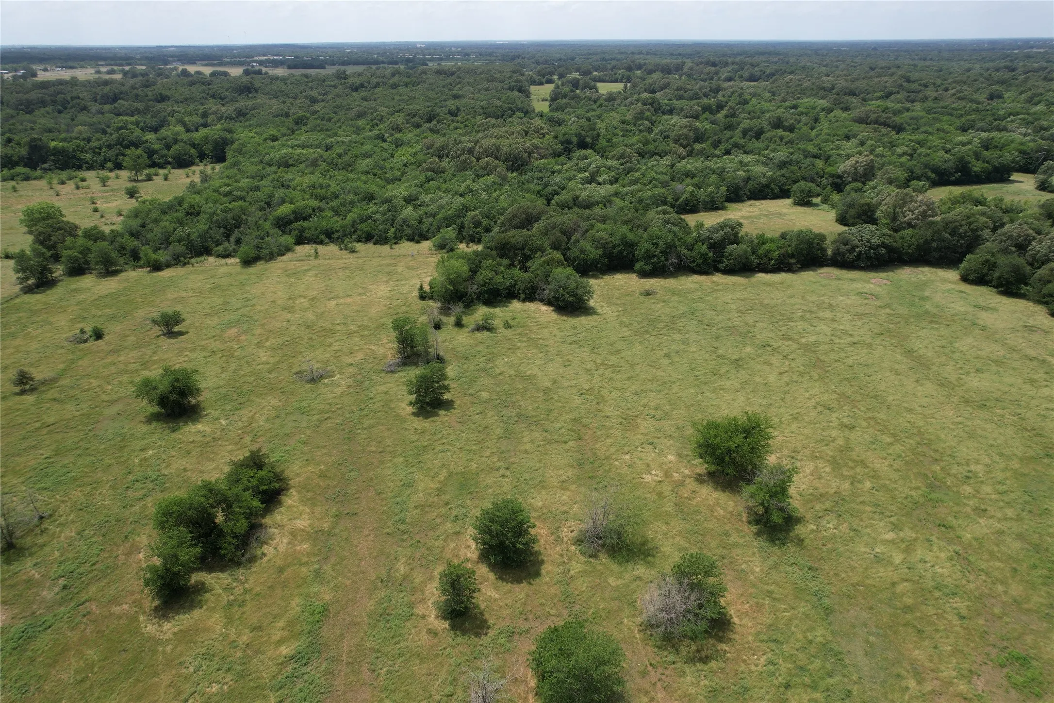 Unimproved Land For Sale in Hopkins County , 607 County Road 3341 N, Sulphur Springs, Texas 75482, 0, 0, Garage spaces, 0 Sqft, built in 0, mls#21282698, Real Estate Agent in Sulphur Springs, Homes For Sale in Hopkins county, Homes For Sale in Sulphur Springs, Realtor in Sulphur Springs Texas, Real Estate Brokerage Independent Realty Texas, Luminita Cordes Realtor