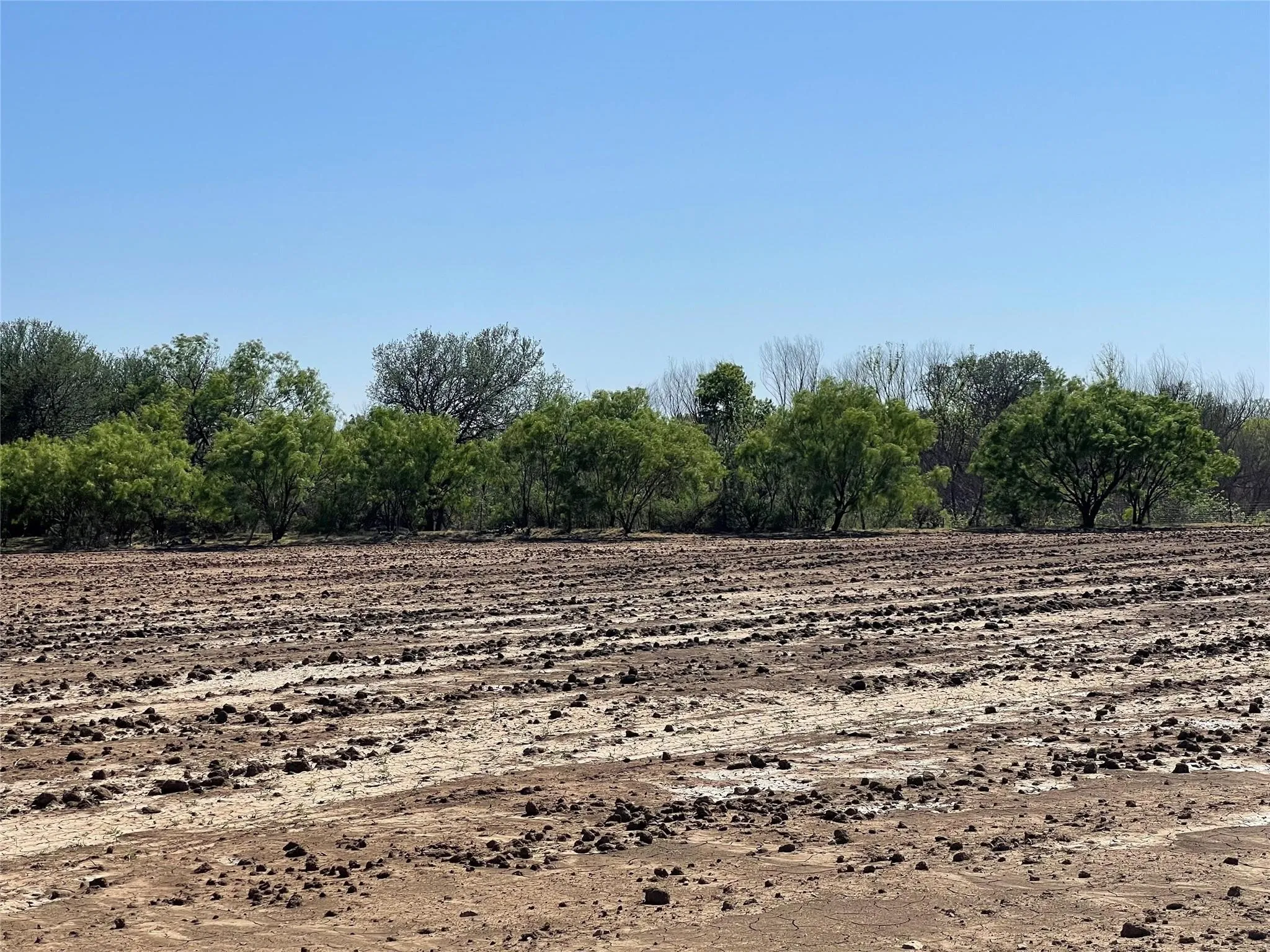 Ranch For Sale in Coleman County , TBD County Road 346 211ac, Gouldbusk, Texas 76845, 0, 0, Garage spaces, 0 Sqft, built in 0, Price $843,789, mls#21289289, Real Estate Agent in Gouldbusk, Homes For Sale in Coleman county, Homes For Sale in Gouldbusk, Realtor in Gouldbusk Texas, Real Estate Brokerage Independent Realty Texas, Luminita Cordes Realtor