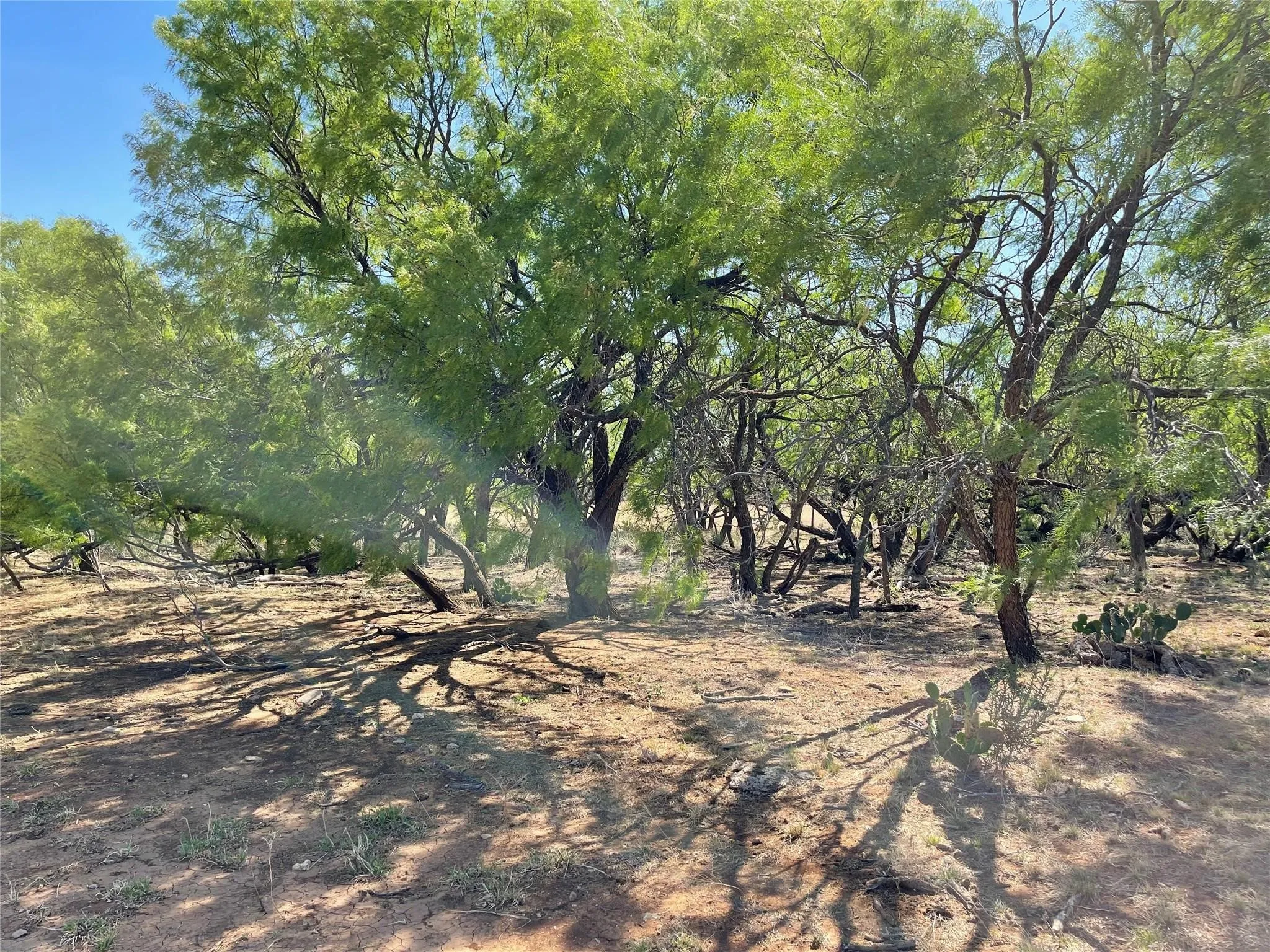 Ranch For Sale in Coleman County , TBD County Road 346 211ac, Gouldbusk, Texas 76845, 0, 0, Garage spaces, 0 Sqft, built in 0, Price $843,789, mls#21289289, Real Estate Agent in Gouldbusk, Homes For Sale in Coleman county, Homes For Sale in Gouldbusk, Realtor in Gouldbusk Texas, Real Estate Brokerage Independent Realty Texas, Luminita Cordes Realtor