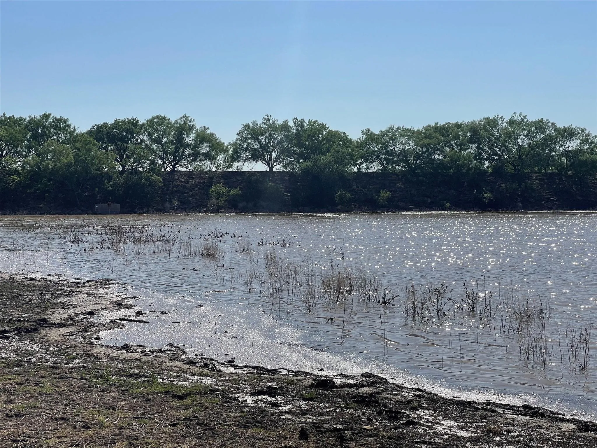 Ranch For Sale in Coleman County , TBD County Road 346 211ac, Gouldbusk, Texas 76845, 0, 0, Garage spaces, 0 Sqft, built in 0, Price $843,789, mls#21289289, Real Estate Agent in Gouldbusk, Homes For Sale in Coleman county, Homes For Sale in Gouldbusk, Realtor in Gouldbusk Texas, Real Estate Brokerage Independent Realty Texas, Luminita Cordes Realtor