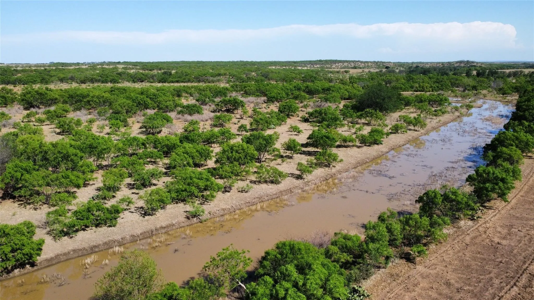 Ranch For Sale in Coleman County , TBD County Road 346 211ac, Gouldbusk, Texas 76845, 0, 0, Garage spaces, 0 Sqft, built in 0, Price $843,789, mls#21289289, Real Estate Agent in Gouldbusk, Homes For Sale in Coleman county, Homes For Sale in Gouldbusk, Realtor in Gouldbusk Texas, Real Estate Brokerage Independent Realty Texas, Luminita Cordes Realtor
