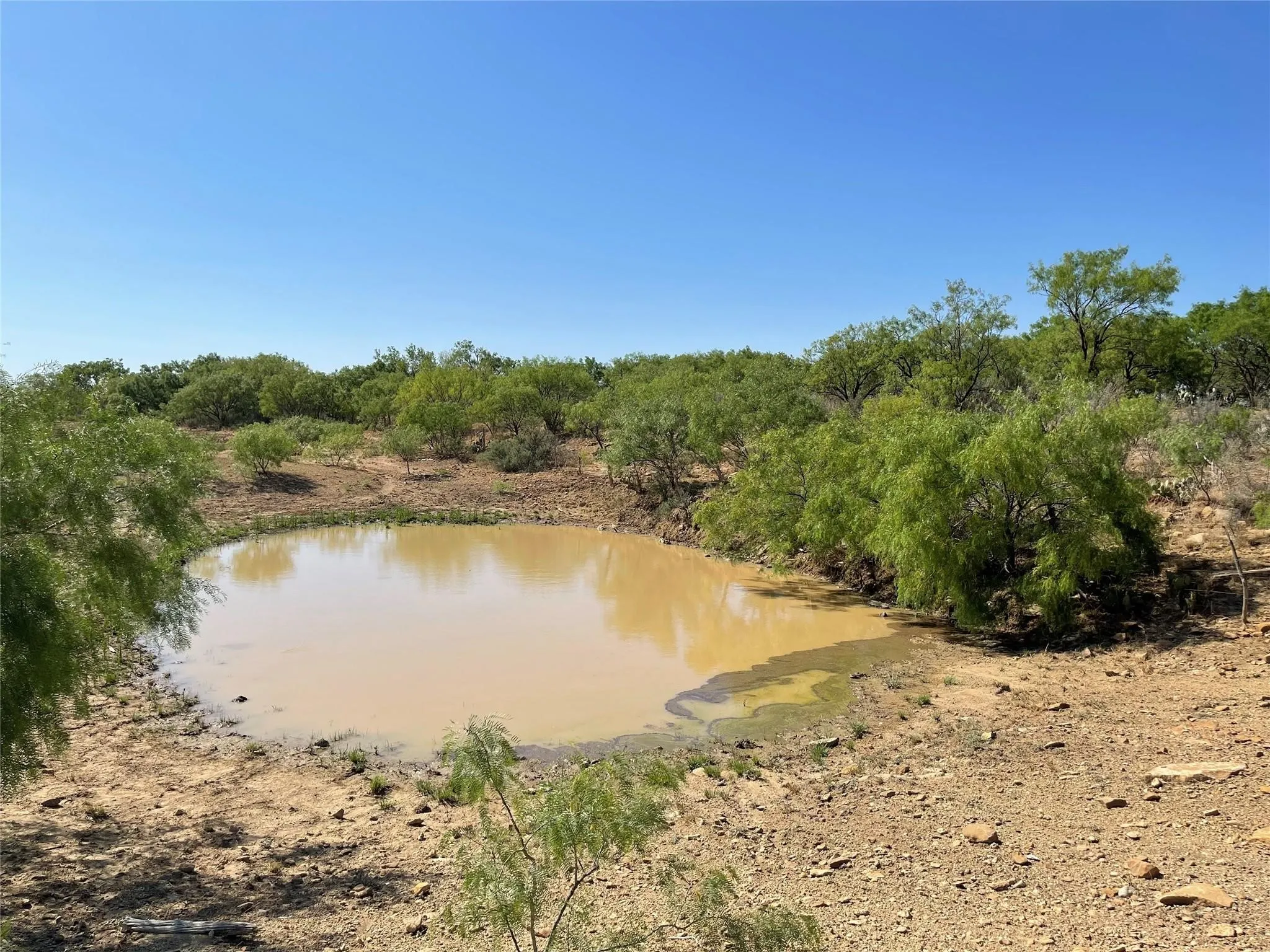 Ranch For Sale in Coleman County , TBD County Road 346 211ac, Gouldbusk, Texas 76845, 0, 0, Garage spaces, 0 Sqft, built in 0, Price $843,789, mls#21289289, Real Estate Agent in Gouldbusk, Homes For Sale in Coleman county, Homes For Sale in Gouldbusk, Realtor in Gouldbusk Texas, Real Estate Brokerage Independent Realty Texas, Luminita Cordes Realtor