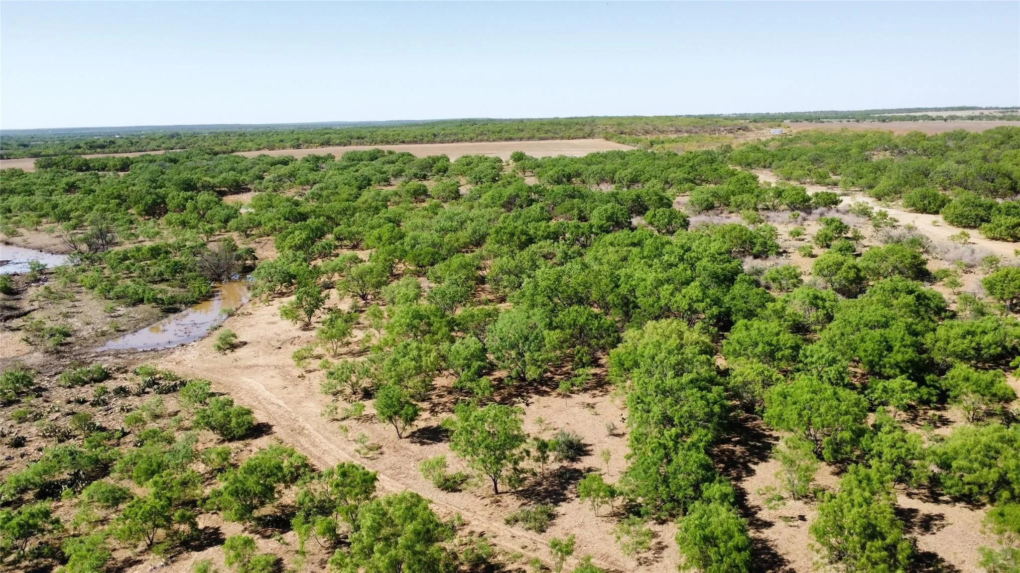 Ranch For Sale in Coleman County , TBD County Road 346 211ac, Gouldbusk, Texas 76845, 0, 0, Garage spaces, 0 Sqft, built in 0, Price $843,789, mls#21289289, Real Estate Agent in Gouldbusk, Homes For Sale in Coleman county, Homes For Sale in Gouldbusk, Realtor in Gouldbusk Texas, Real Estate Brokerage Independent Realty Texas, Luminita Cordes Realtor
