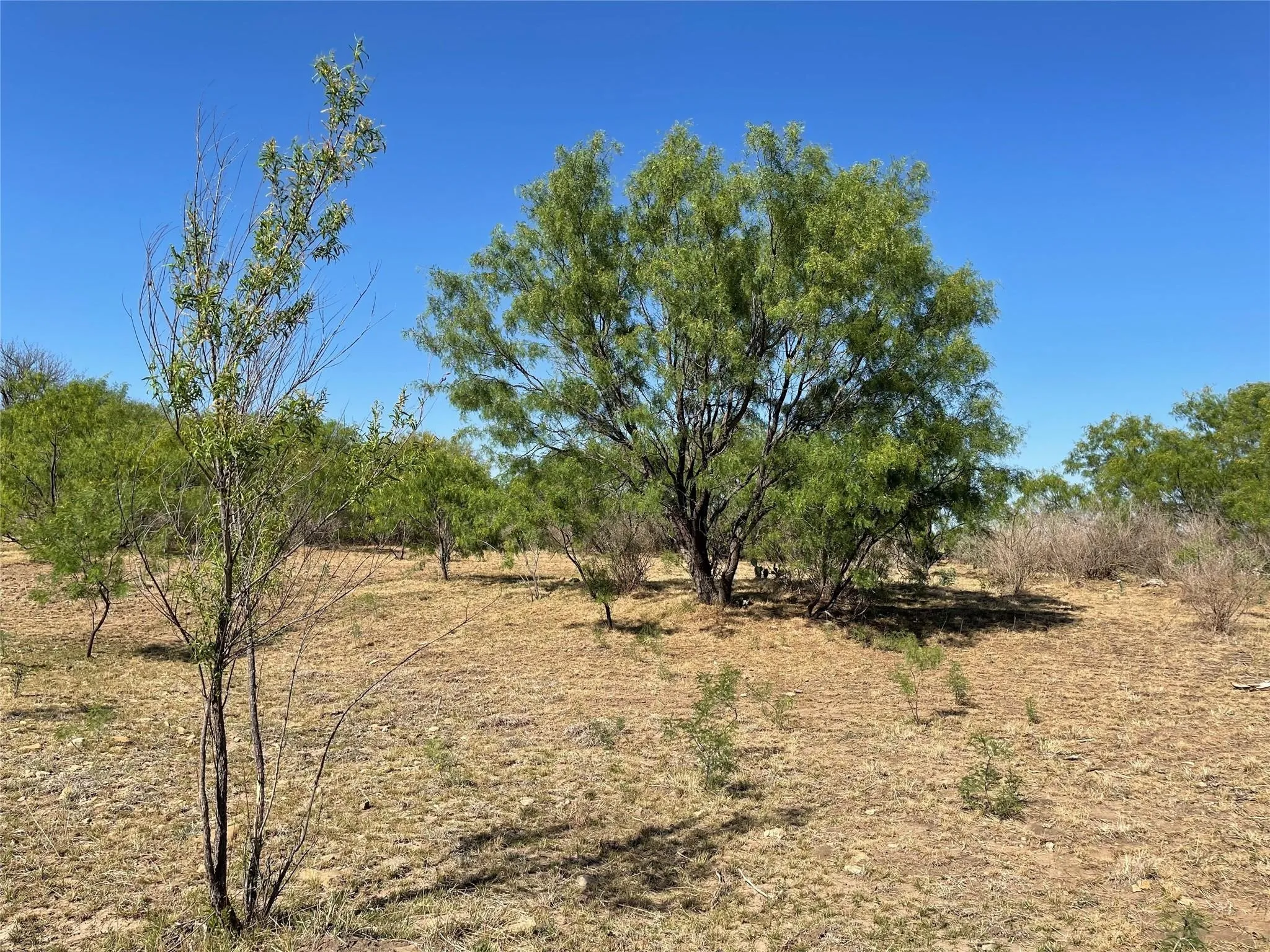 Ranch For Sale in Coleman County , TBD County Road 346 211ac, Gouldbusk, Texas 76845, 0, 0, Garage spaces, 0 Sqft, built in 0, Price $843,789, mls#21289289, Real Estate Agent in Gouldbusk, Homes For Sale in Coleman county, Homes For Sale in Gouldbusk, Realtor in Gouldbusk Texas, Real Estate Brokerage Independent Realty Texas, Luminita Cordes Realtor