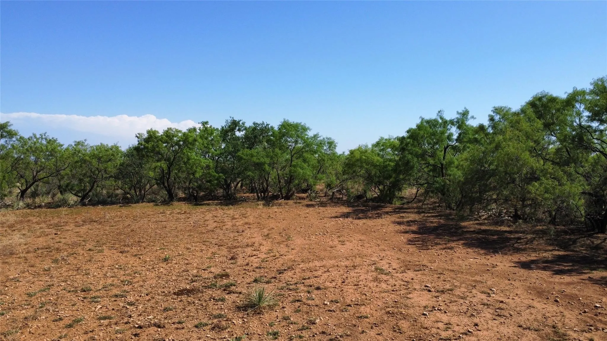 Ranch For Sale in Coleman County , TBD County Road 346 211ac, Gouldbusk, Texas 76845, 0, 0, Garage spaces, 0 Sqft, built in 0, Price $843,789, mls#21289289, Real Estate Agent in Gouldbusk, Homes For Sale in Coleman county, Homes For Sale in Gouldbusk, Realtor in Gouldbusk Texas, Real Estate Brokerage Independent Realty Texas, Luminita Cordes Realtor