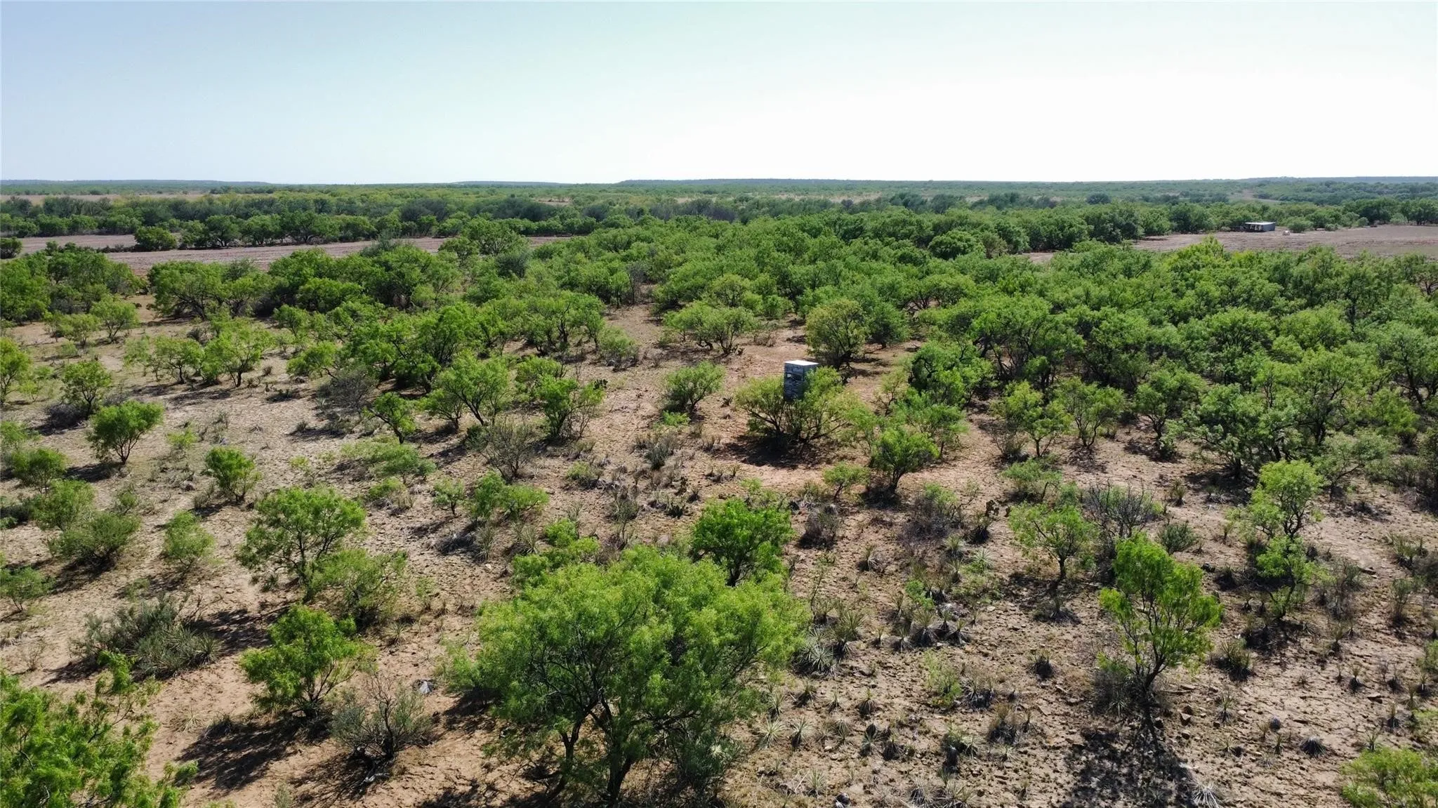 Ranch For Sale in Coleman County , TBD County Road 346 211ac, Gouldbusk, Texas 76845, 0, 0, Garage spaces, 0 Sqft, built in 0, Price $843,789, mls#21289289, Real Estate Agent in Gouldbusk, Homes For Sale in Coleman county, Homes For Sale in Gouldbusk, Realtor in Gouldbusk Texas, Real Estate Brokerage Independent Realty Texas, Luminita Cordes Realtor