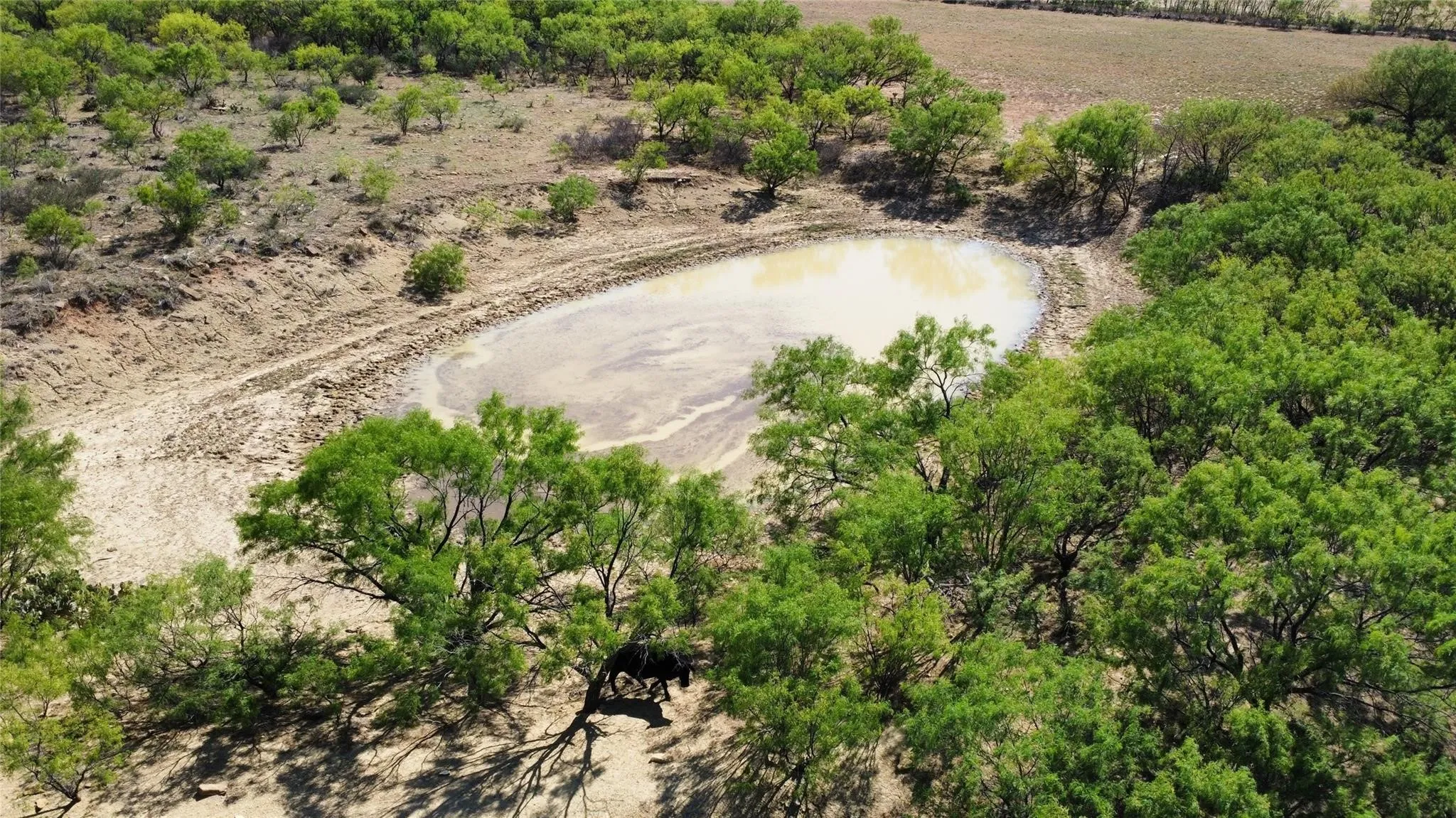 Ranch For Sale in Coleman County , TBD County Road 346 211ac, Gouldbusk, Texas 76845, 0, 0, Garage spaces, 0 Sqft, built in 0, Price $843,789, mls#21289289, Real Estate Agent in Gouldbusk, Homes For Sale in Coleman county, Homes For Sale in Gouldbusk, Realtor in Gouldbusk Texas, Real Estate Brokerage Independent Realty Texas, Luminita Cordes Realtor