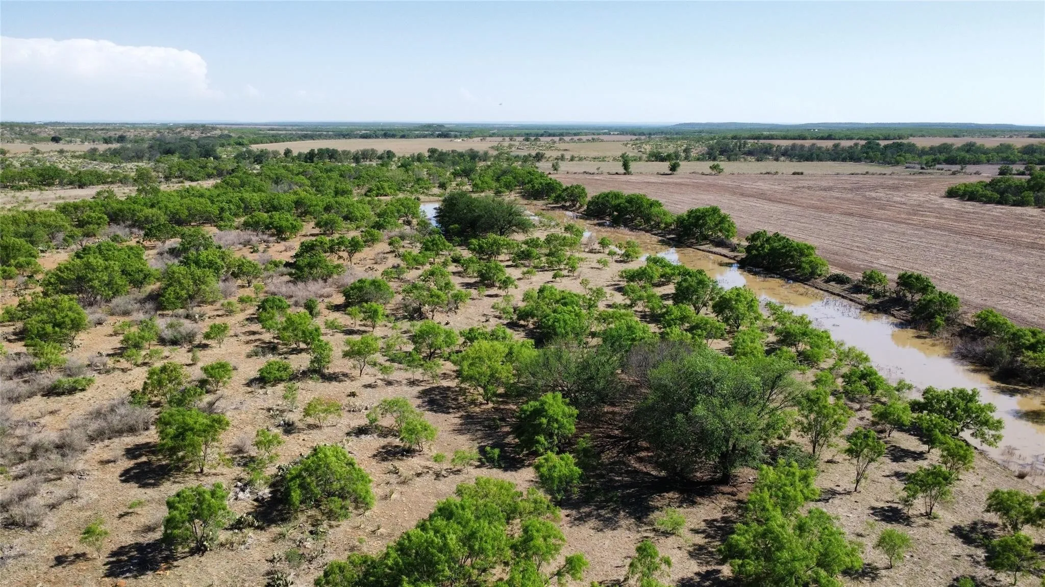 Ranch For Sale in Coleman County , TBD County Road 346 211ac, Gouldbusk, Texas 76845, 0, 0, Garage spaces, 0 Sqft, built in 0, Price $843,789, mls#21289289, Real Estate Agent in Gouldbusk, Homes For Sale in Coleman county, Homes For Sale in Gouldbusk, Realtor in Gouldbusk Texas, Real Estate Brokerage Independent Realty Texas, Luminita Cordes Realtor