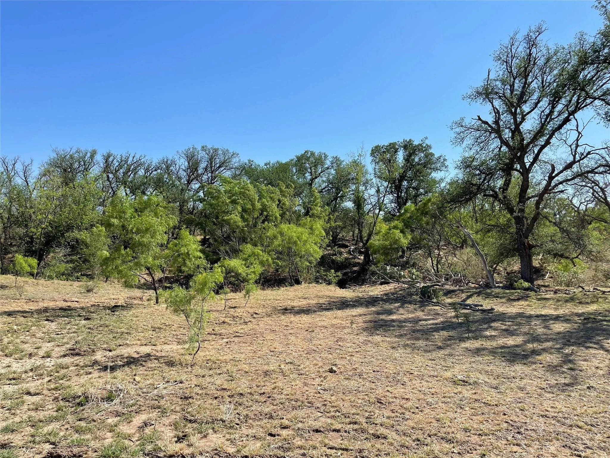 Ranch For Sale in Coleman County , TBD County Road 346 211ac, Gouldbusk, Texas 76845, 0, 0, Garage spaces, 0 Sqft, built in 0, Price $843,789, mls#21289289, Real Estate Agent in Gouldbusk, Homes For Sale in Coleman county, Homes For Sale in Gouldbusk, Realtor in Gouldbusk Texas, Real Estate Brokerage Independent Realty Texas, Luminita Cordes Realtor