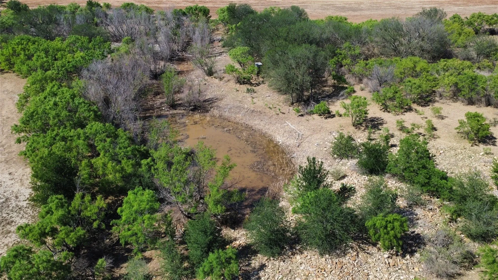 Ranch For Sale in Coleman County , TBD County Road 346 211ac, Gouldbusk, Texas 76845, 0, 0, Garage spaces, 0 Sqft, built in 0, Price $843,789, mls#21289289, Real Estate Agent in Gouldbusk, Homes For Sale in Coleman county, Homes For Sale in Gouldbusk, Realtor in Gouldbusk Texas, Real Estate Brokerage Independent Realty Texas, Luminita Cordes Realtor