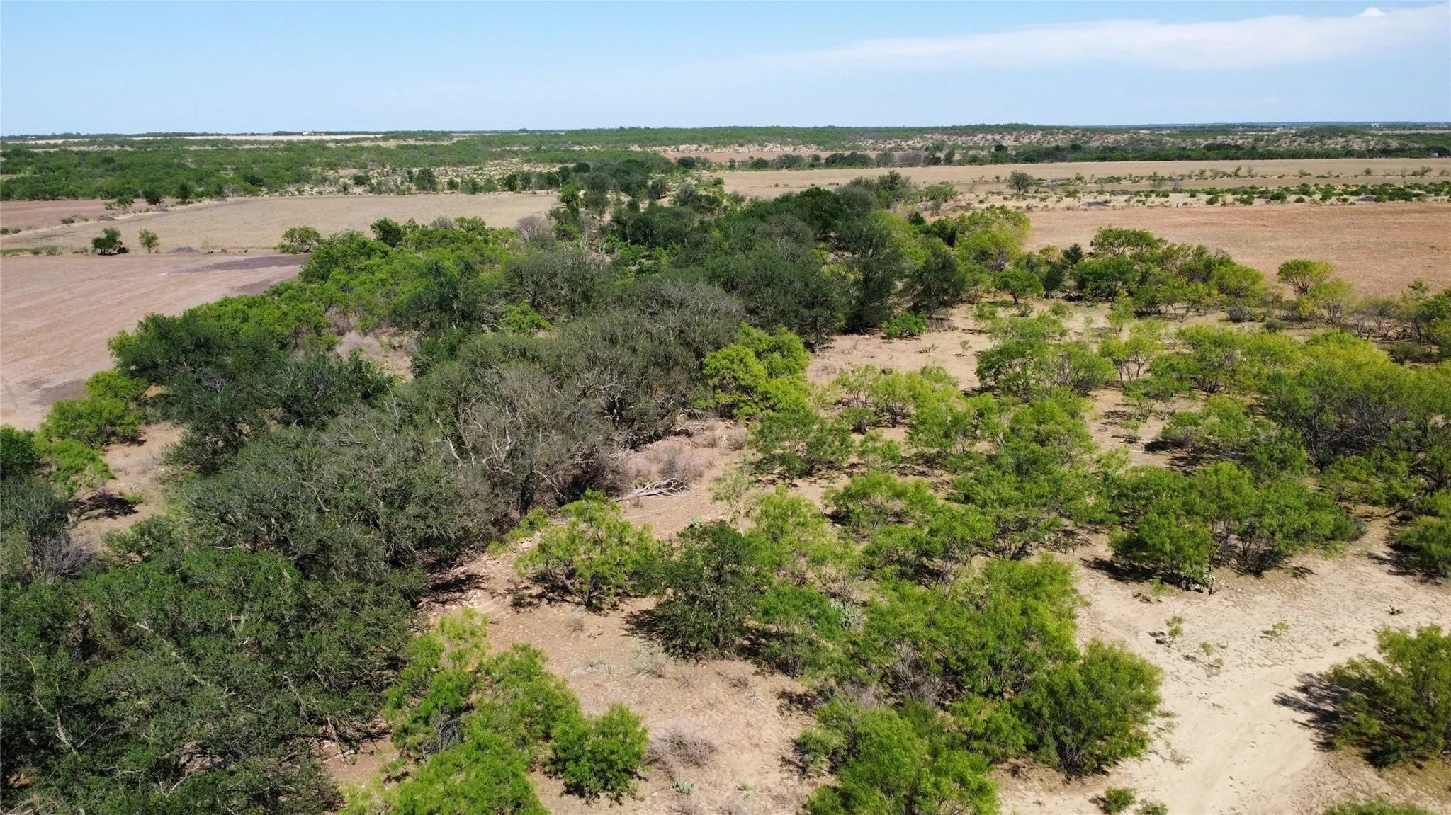 Ranch For Sale in Coleman County , TBD County Road 346 211ac, Gouldbusk, Texas 76845, 0, 0, Garage spaces, 0 Sqft, built in 0, Price $843,789, mls#21289289, Real Estate Agent in Gouldbusk, Homes For Sale in Coleman county, Homes For Sale in Gouldbusk, Realtor in Gouldbusk Texas, Real Estate Brokerage Independent Realty Texas, Luminita Cordes Realtor