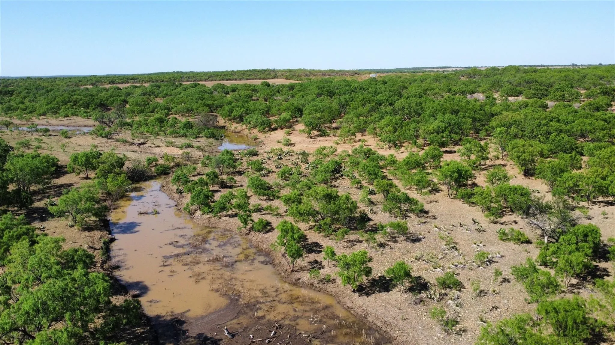 Ranch For Sale in Coleman County , TBD County Road 346 211ac, Gouldbusk, Texas 76845, 0, 0, Garage spaces, 0 Sqft, built in 0, Price $843,789, mls#21289289, Real Estate Agent in Gouldbusk, Homes For Sale in Coleman county, Homes For Sale in Gouldbusk, Realtor in Gouldbusk Texas, Real Estate Brokerage Independent Realty Texas, Luminita Cordes Realtor