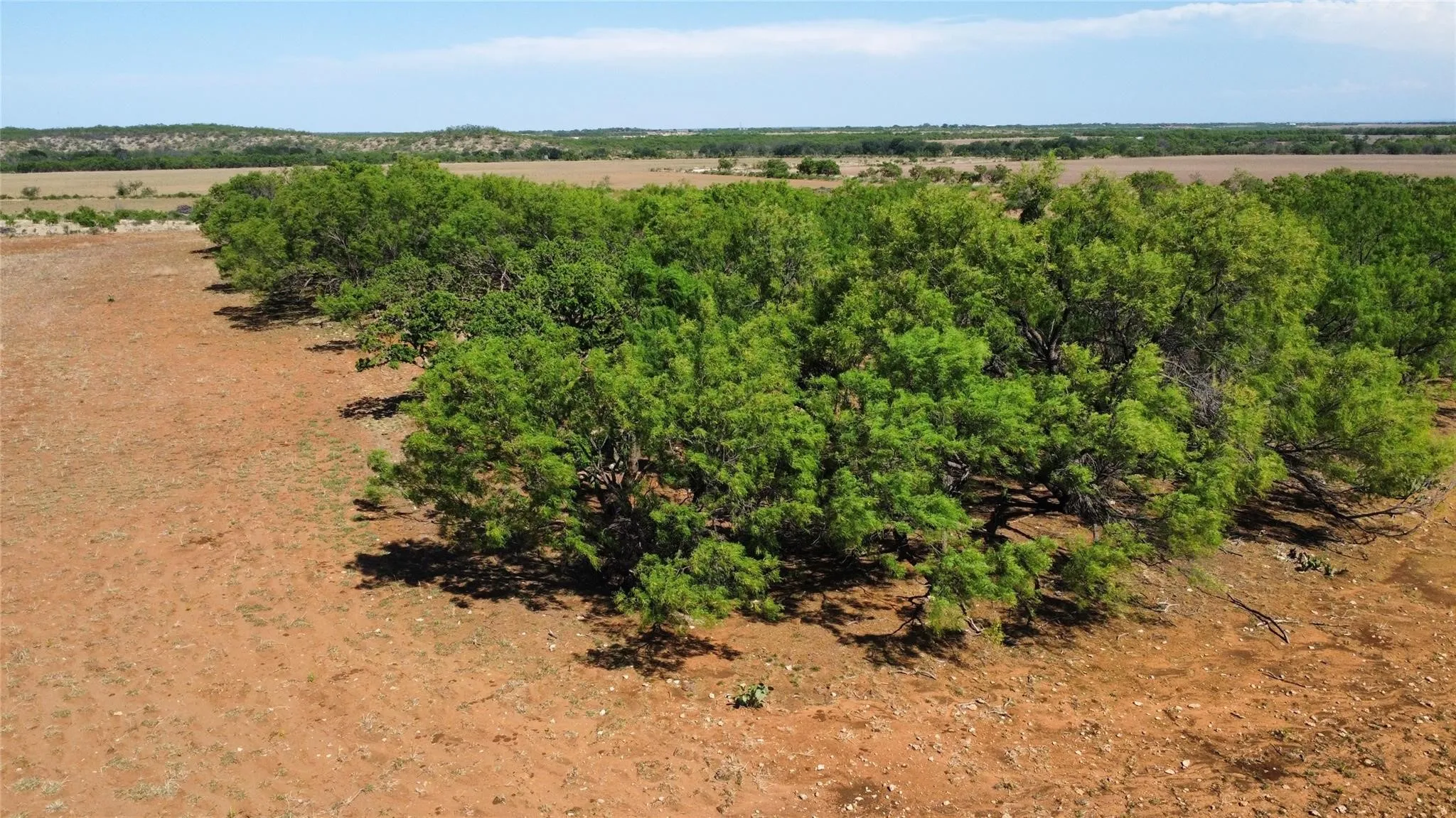 Ranch For Sale in Coleman County , TBD County Road 346 211ac, Gouldbusk, Texas 76845, 0, 0, Garage spaces, 0 Sqft, built in 0, Price $843,789, mls#21289289, Real Estate Agent in Gouldbusk, Homes For Sale in Coleman county, Homes For Sale in Gouldbusk, Realtor in Gouldbusk Texas, Real Estate Brokerage Independent Realty Texas, Luminita Cordes Realtor