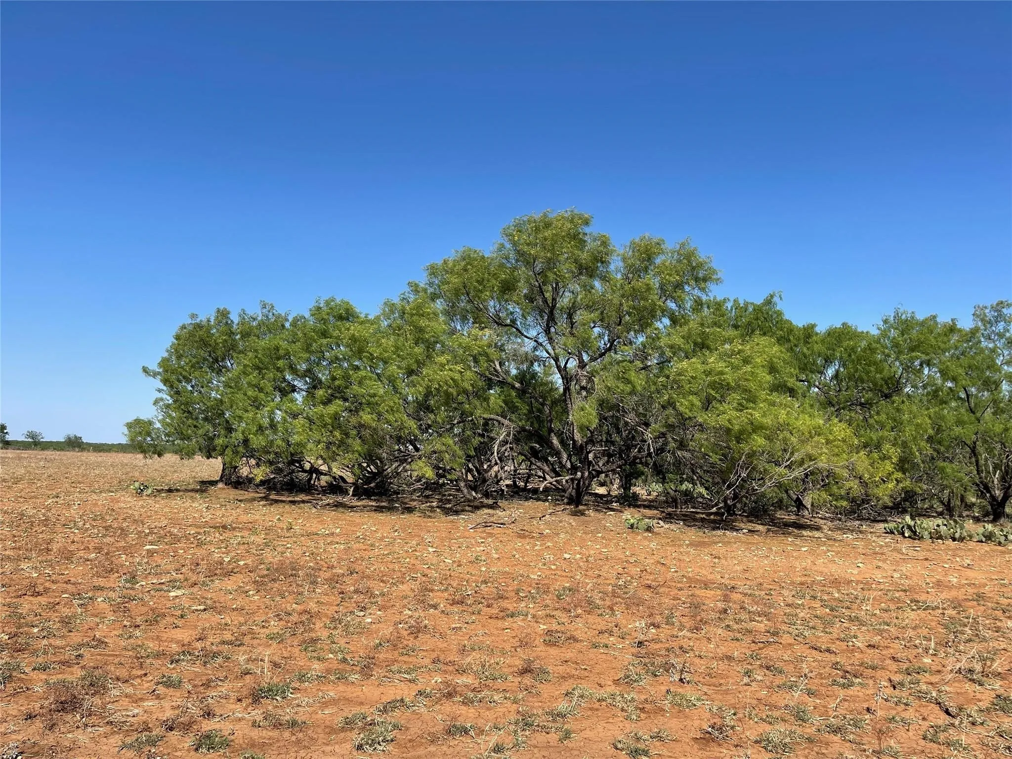 Ranch For Sale in Coleman County , TBD County Road 346 211ac, Gouldbusk, Texas 76845, 0, 0, Garage spaces, 0 Sqft, built in 0, Price $843,789, mls#21289289, Real Estate Agent in Gouldbusk, Homes For Sale in Coleman county, Homes For Sale in Gouldbusk, Realtor in Gouldbusk Texas, Real Estate Brokerage Independent Realty Texas, Luminita Cordes Realtor