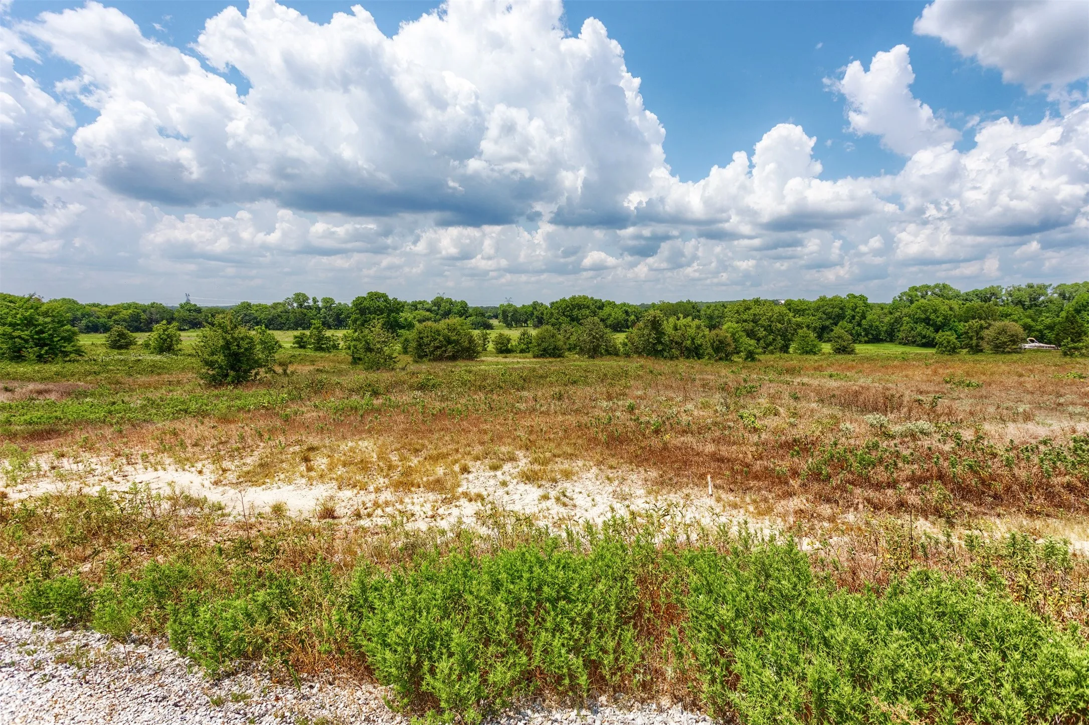 Expansive land featuring natural vegetation, a mix of green and dry grasses, and scattered mature trees