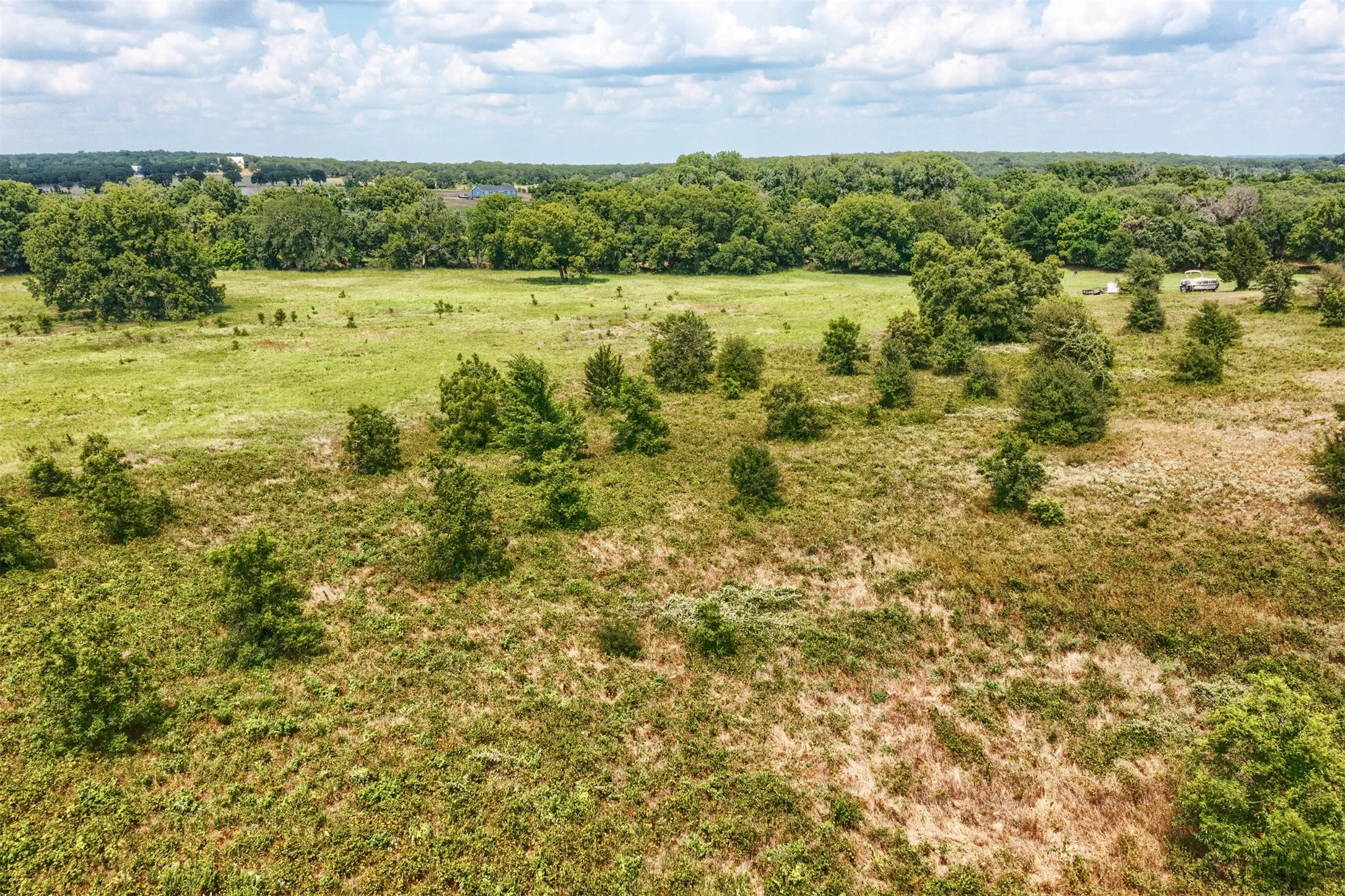 Expansive open land featuring diverse vegetation and distant mature tree lines