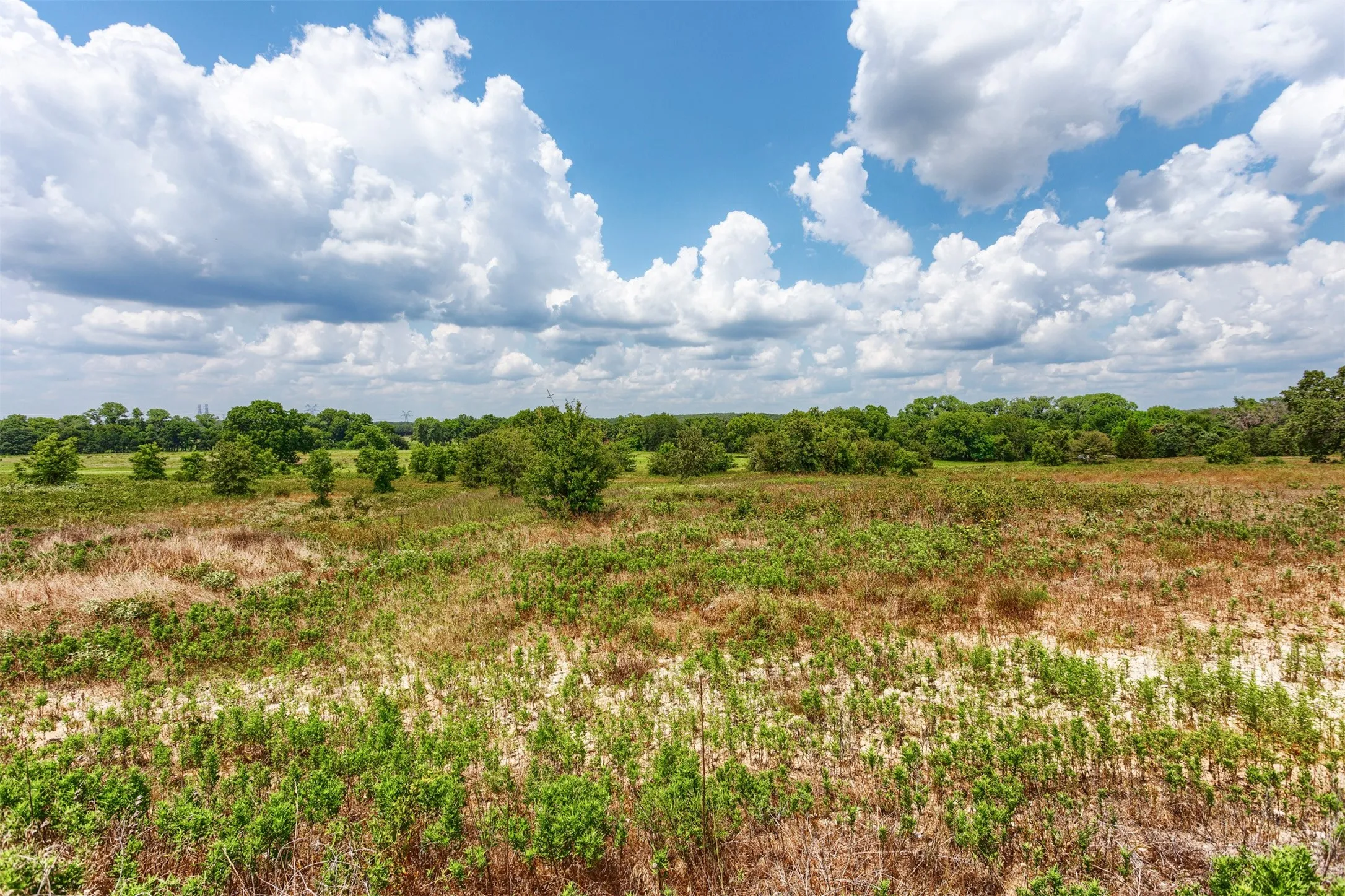 Expansive land offering a mix of established trees and varied ground cover