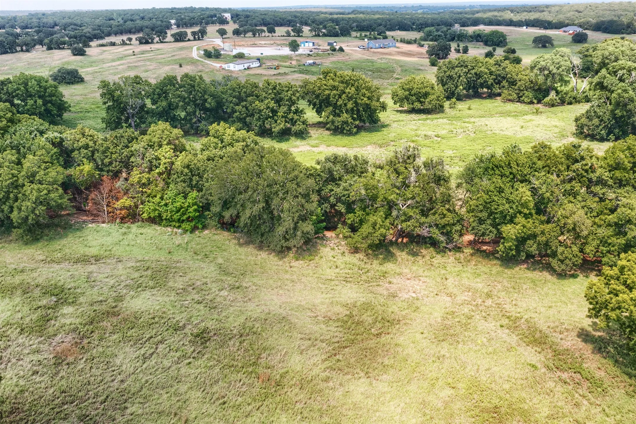 Expansive open land with scattered mature trees and distant structures