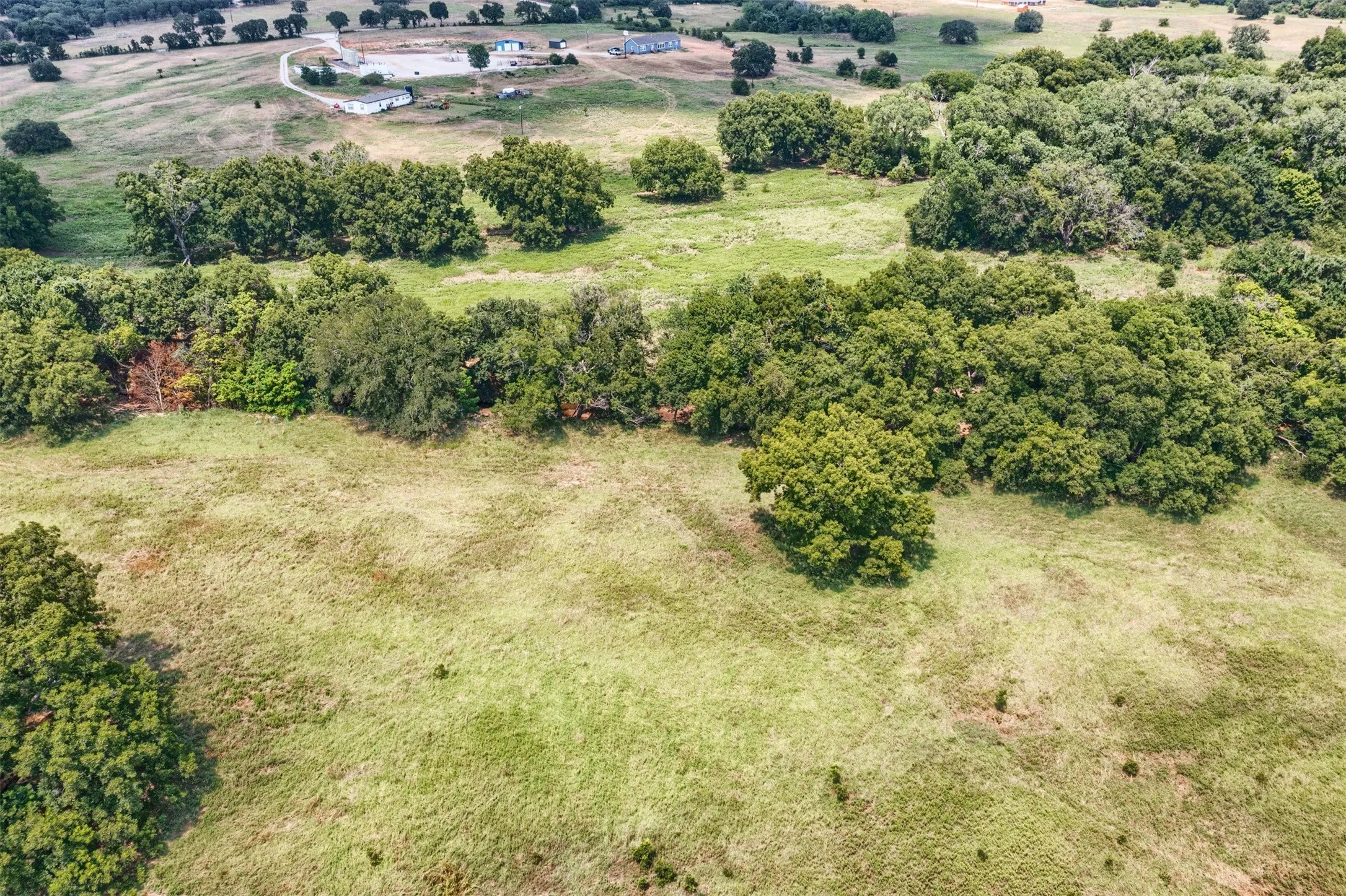 Expansive green acreage with scattered mature trees and distant structures