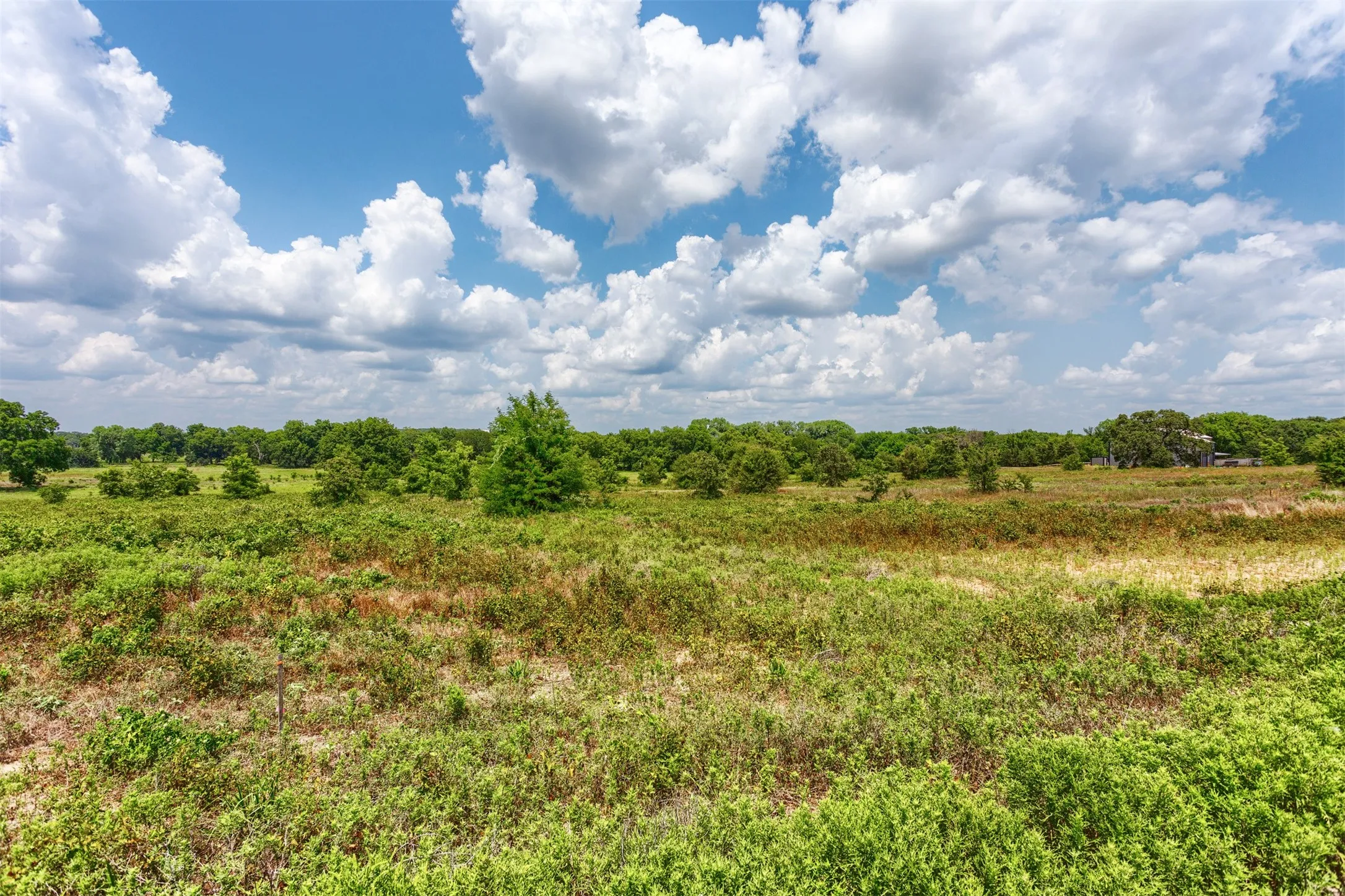 Expansive land parcel featuring open fields and distant mature tree lines
